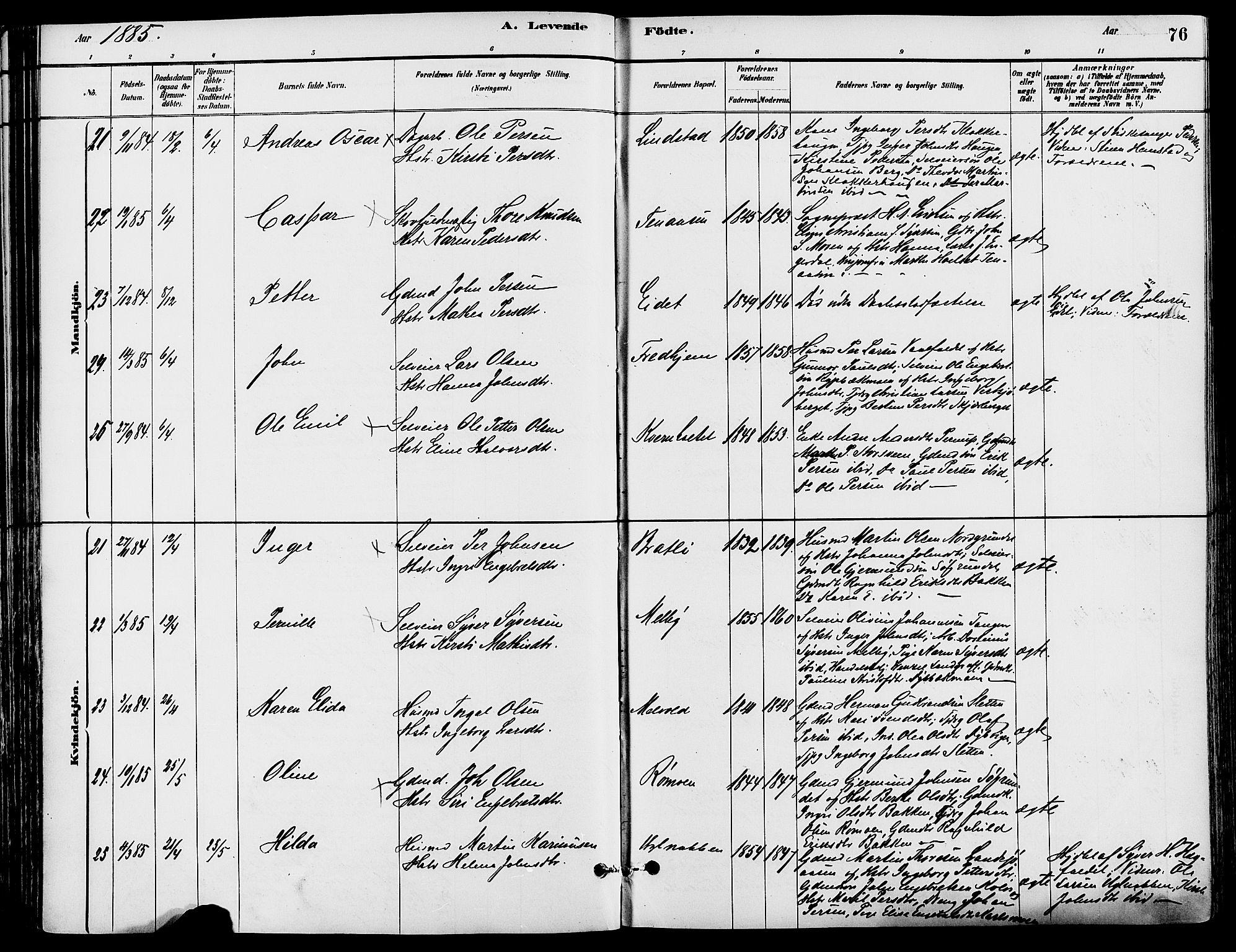 Trysil prestekontor, SAH/PREST-046/H/Ha/Haa/L0008: Parish register (official) no. 8, 1881-1897, p. 76