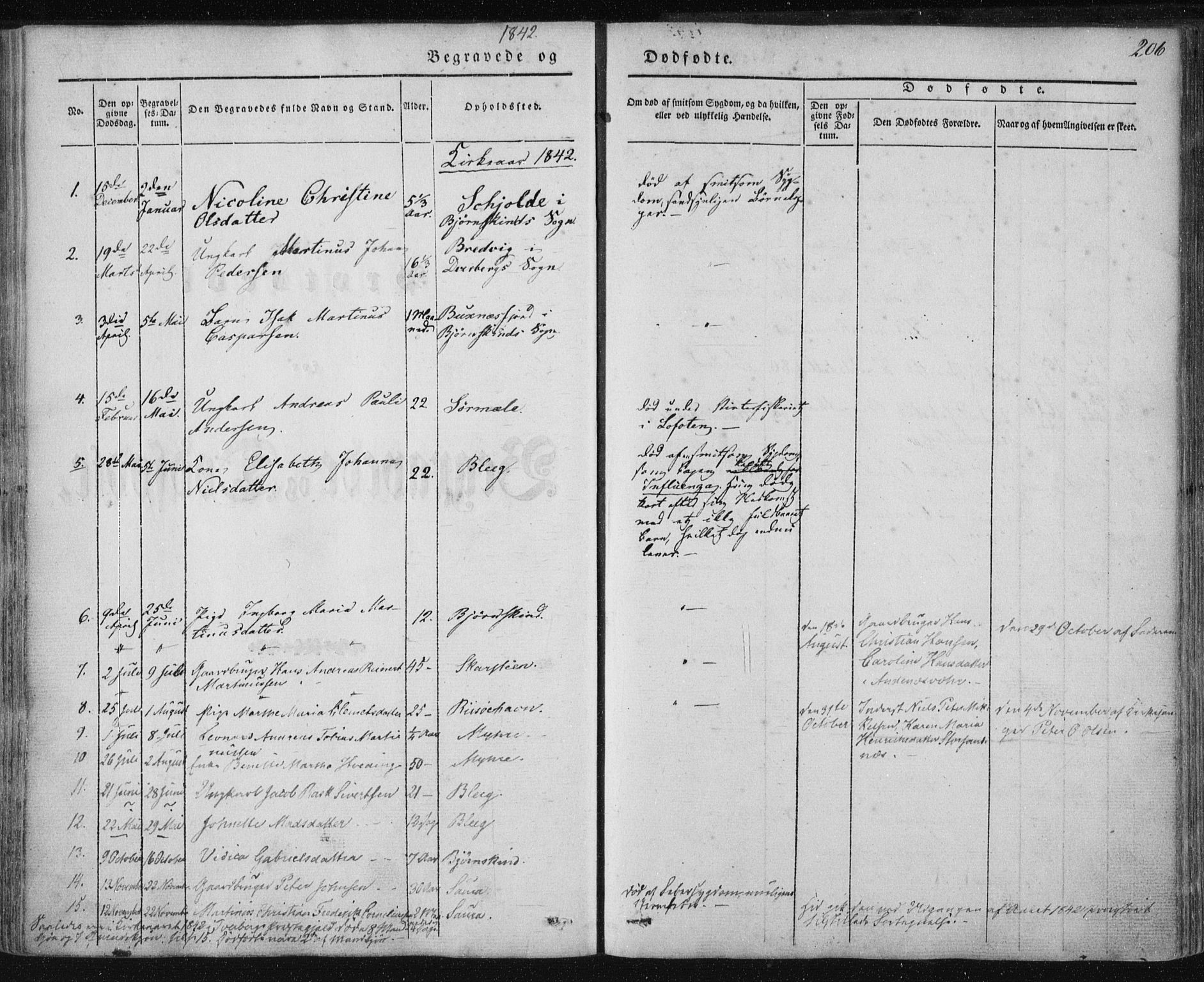 Ministerialprotokoller, klokkerbøker og fødselsregistre - Nordland, AV/SAT-A-1459/897/L1396: Parish register (official) no. 897A04, 1842-1866, p. 206