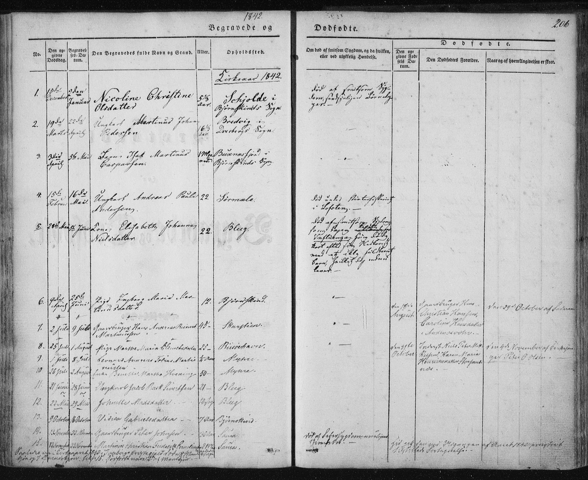 Ministerialprotokoller, klokkerbøker og fødselsregistre - Nordland, AV/SAT-A-1459/897/L1396: Parish register (official) no. 897A04, 1842-1866, p. 206