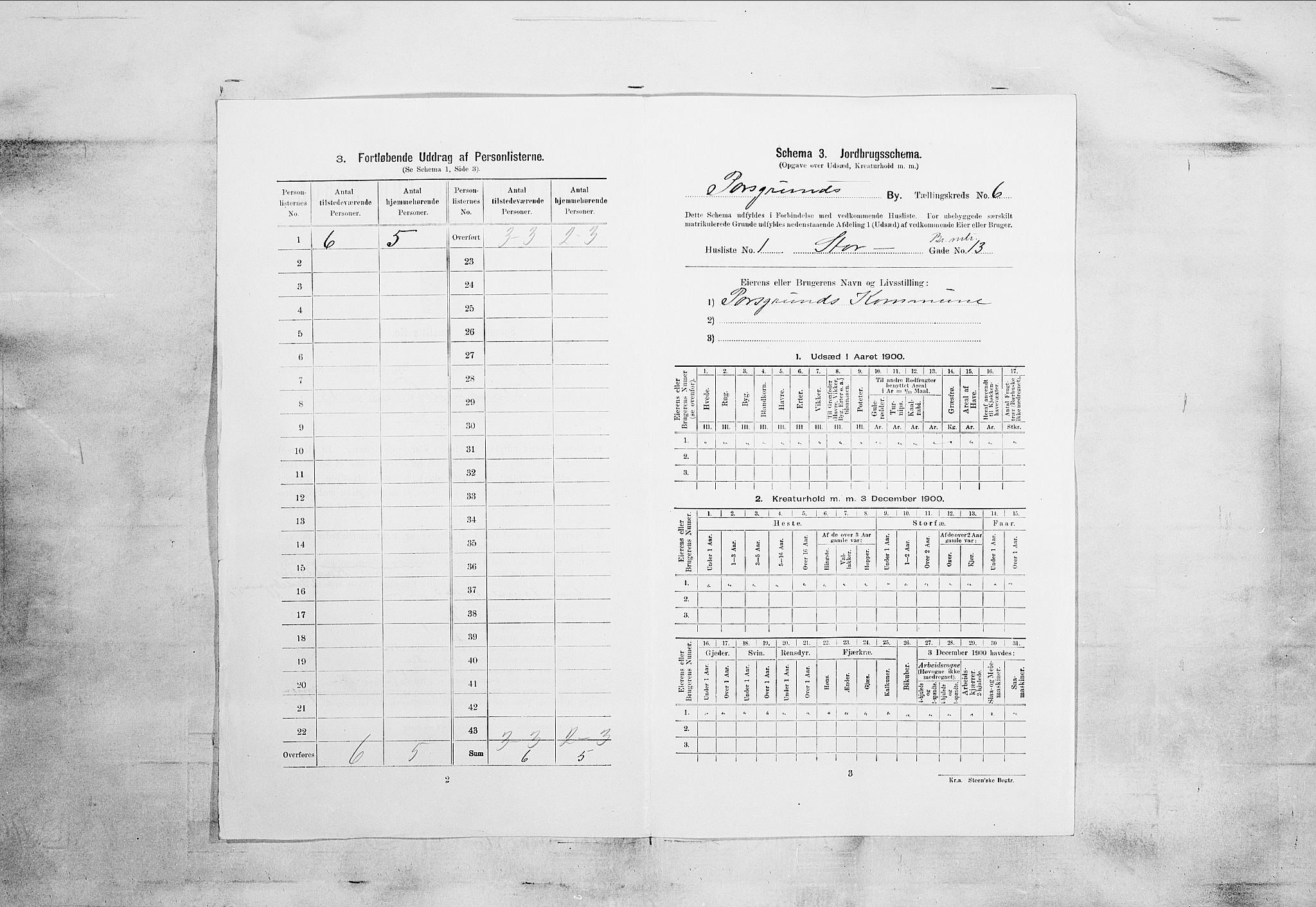 SAKO, 1900 census for Porsgrunn, 1900, p. 908