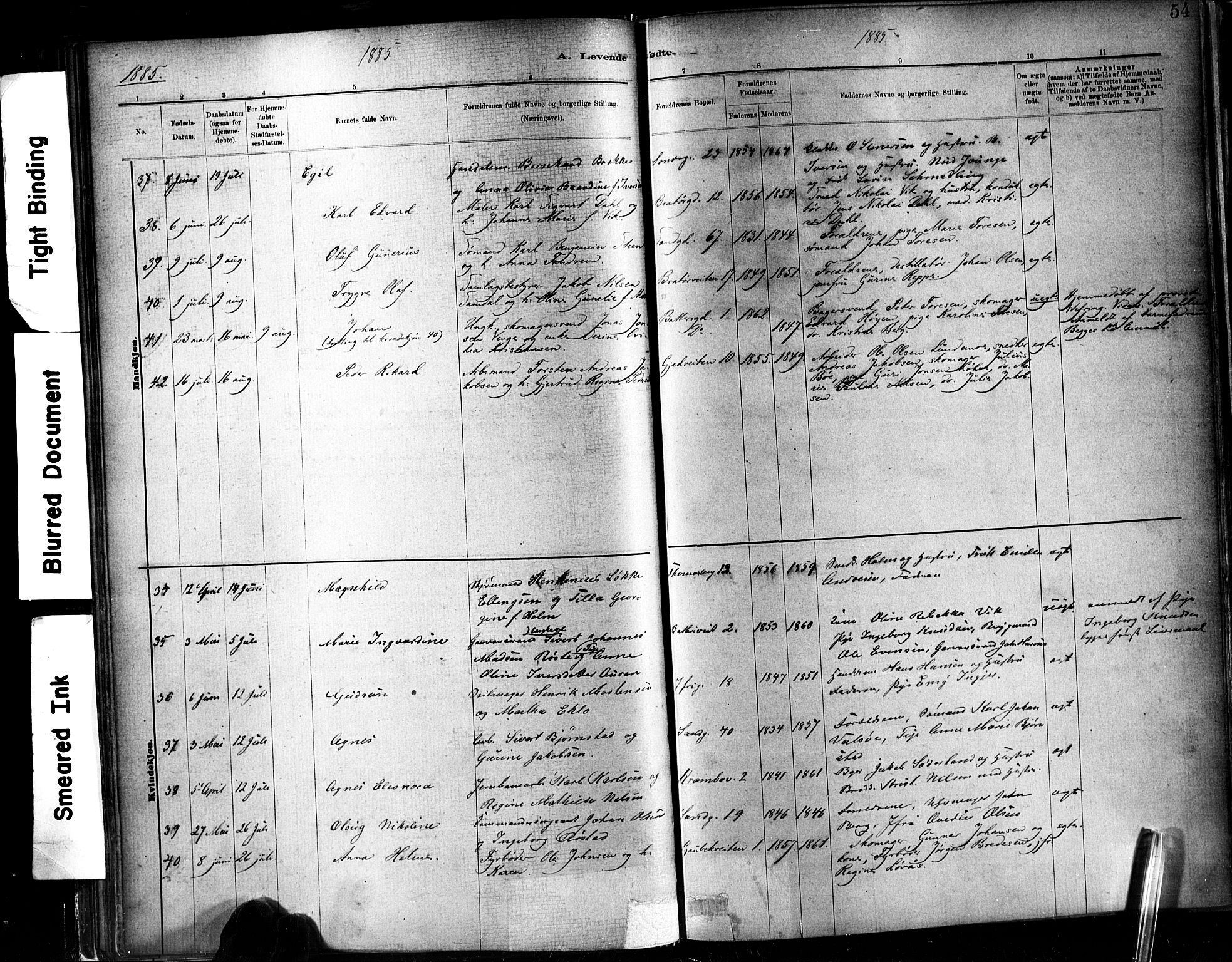 Ministerialprotokoller, klokkerbøker og fødselsregistre - Sør-Trøndelag, AV/SAT-A-1456/602/L0119: Parish register (official) no. 602A17, 1880-1901, p. 54