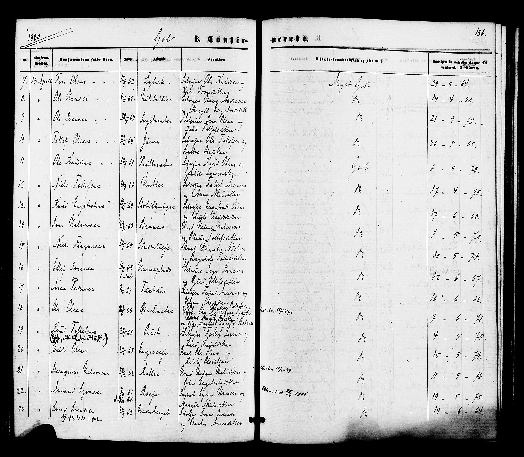 Gol kirkebøker, SAKO/A-226/F/Fa/L0004: Parish register (official) no. I 4, 1876-1886, p. 156