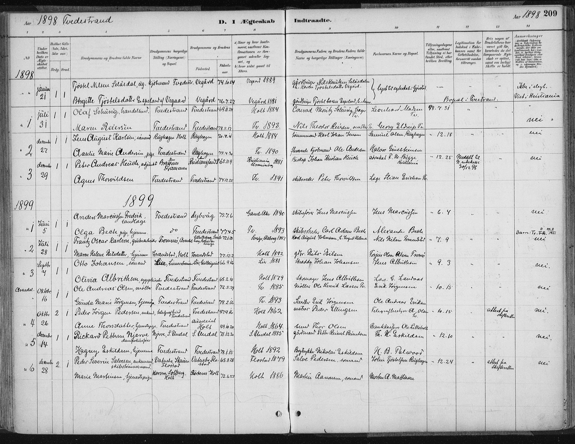 Tvedestrand sokneprestkontor, SAK/1111-0042/F/Fa/L0001: Parish register (official) no. A 1, 1885-1916, p. 209