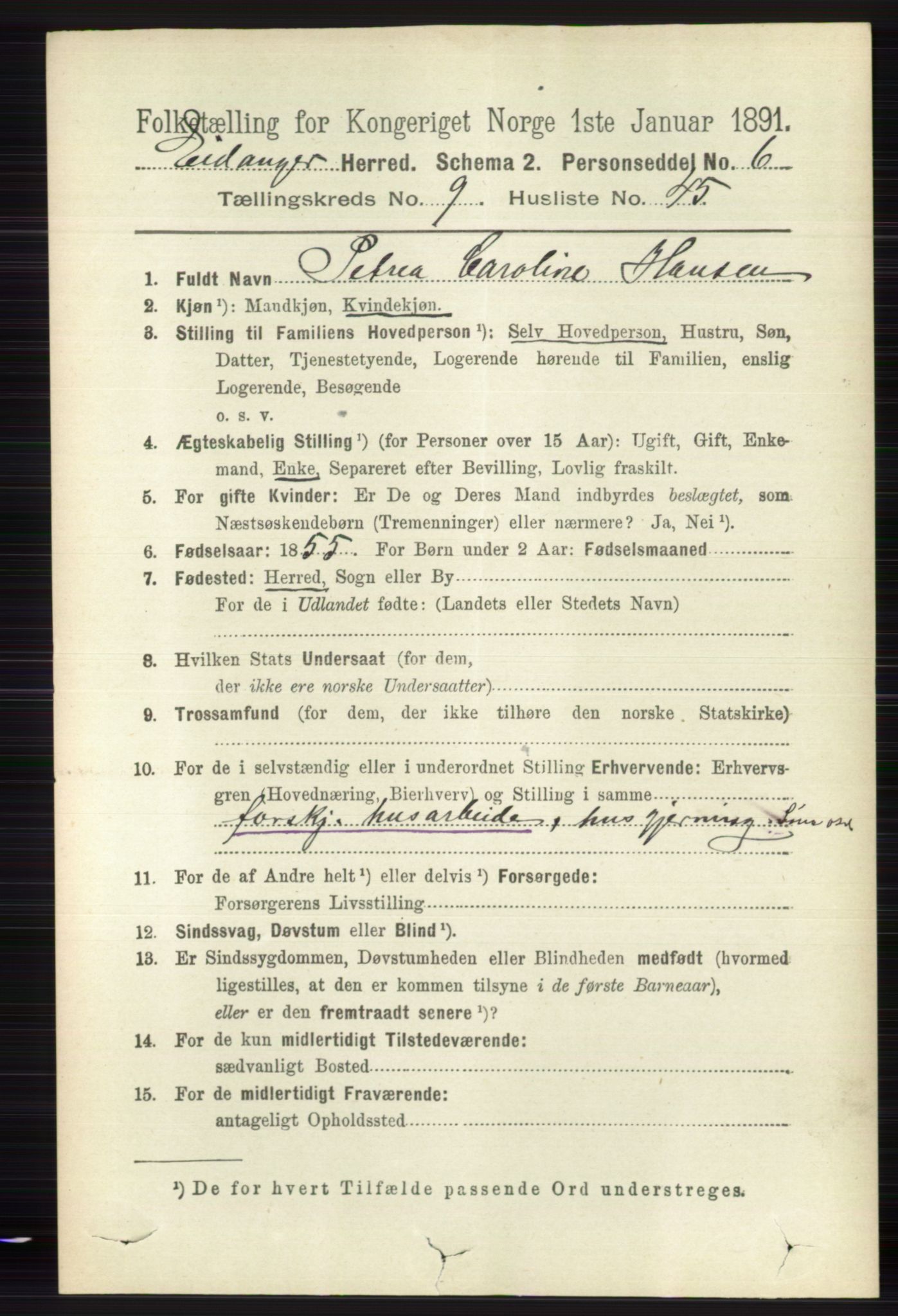 RA, 1891 census for 0813 Eidanger, 1891, p. 3875