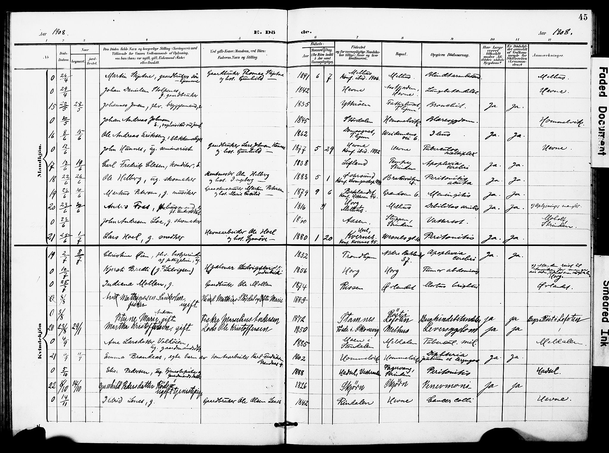 Ministerialprotokoller, klokkerbøker og fødselsregistre - Sør-Trøndelag, AV/SAT-A-1456/628/L0483: Parish register (official) no. 628A01, 1902-1920, p. 45