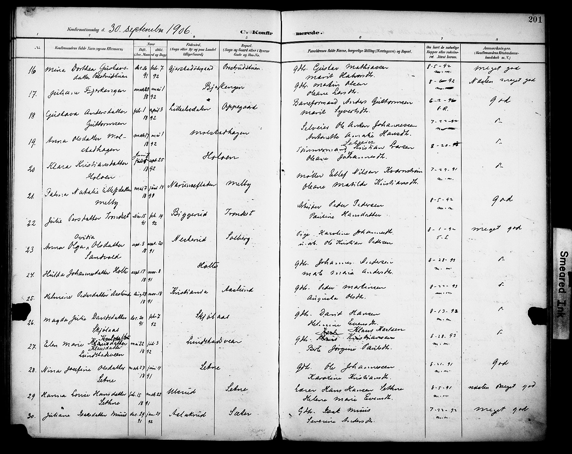 Vestre Toten prestekontor, SAH/PREST-108/H/Ha/Haa/L0013: Parish register (official) no. 13, 1895-1911, p. 201