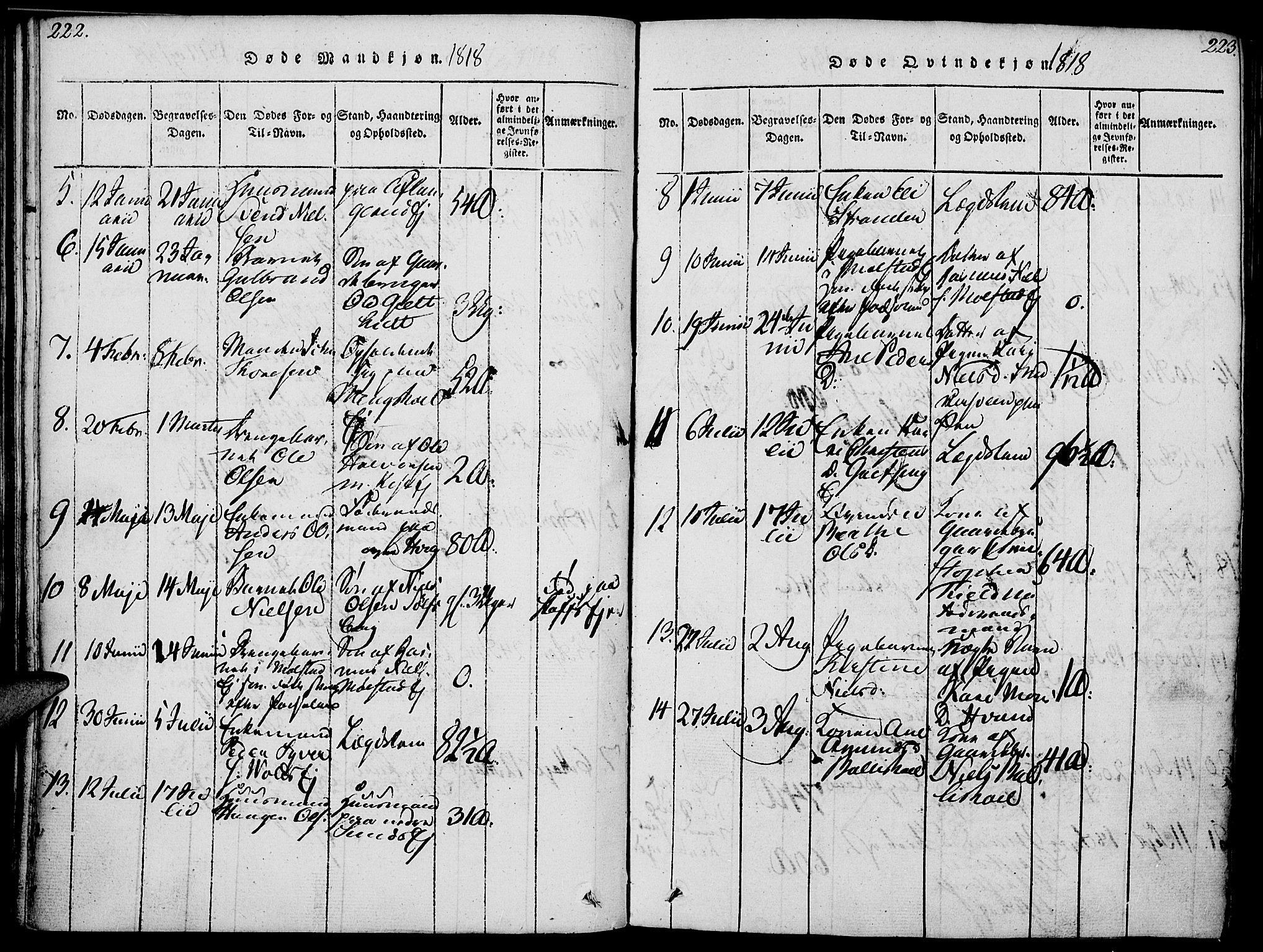 Nes prestekontor, Hedmark, AV/SAH-PREST-020/K/Ka/L0002: Parish register (official) no. 2, 1813-1827, p. 222-223