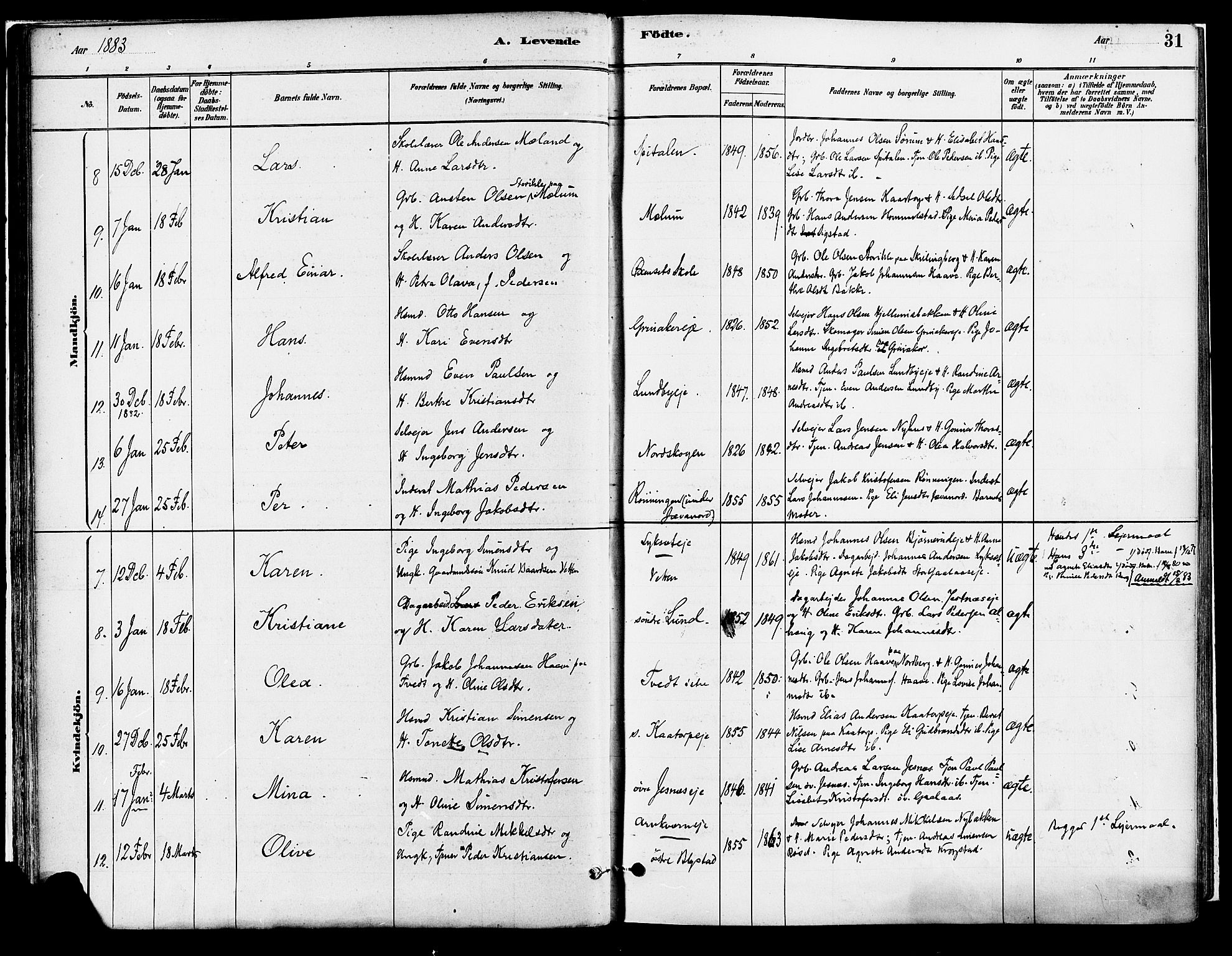 Vang prestekontor, Hedmark, AV/SAH-PREST-008/H/Ha/Haa/L0018A: Parish register (official) no. 18A, 1880-1906, p. 31