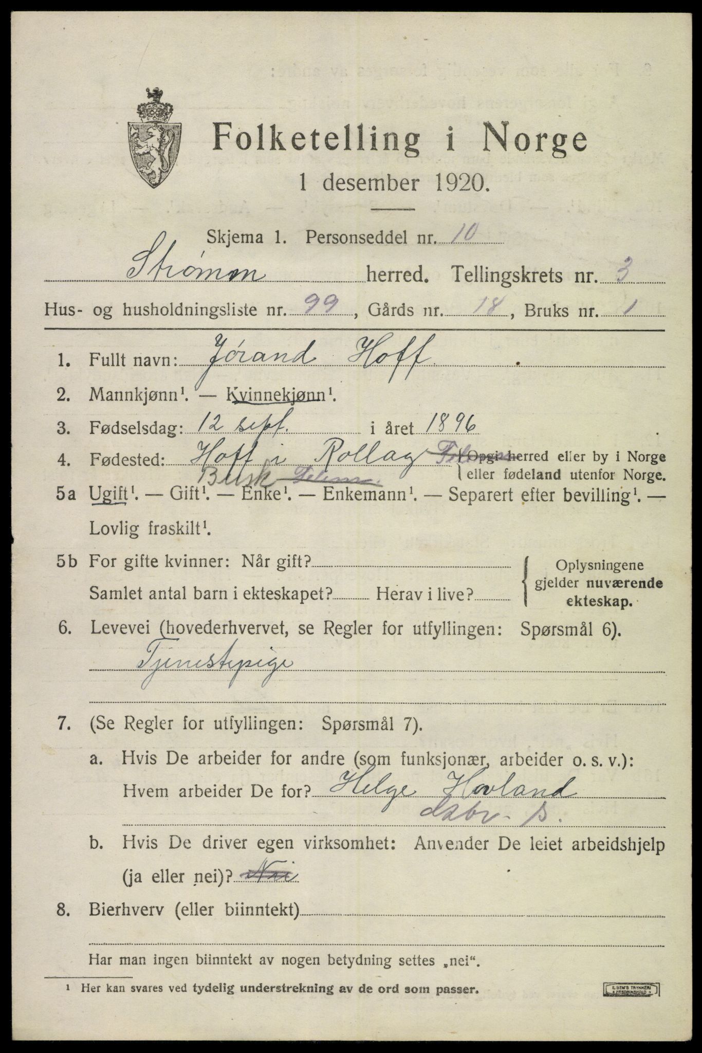 SAKO, 1920 census for Strømm, 1920, p. 3141