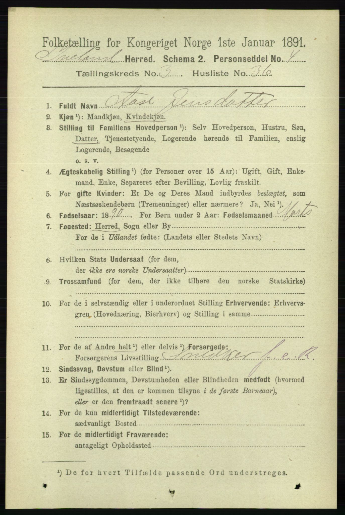 RA, 1891 census for 0935 Iveland, 1891, p. 975