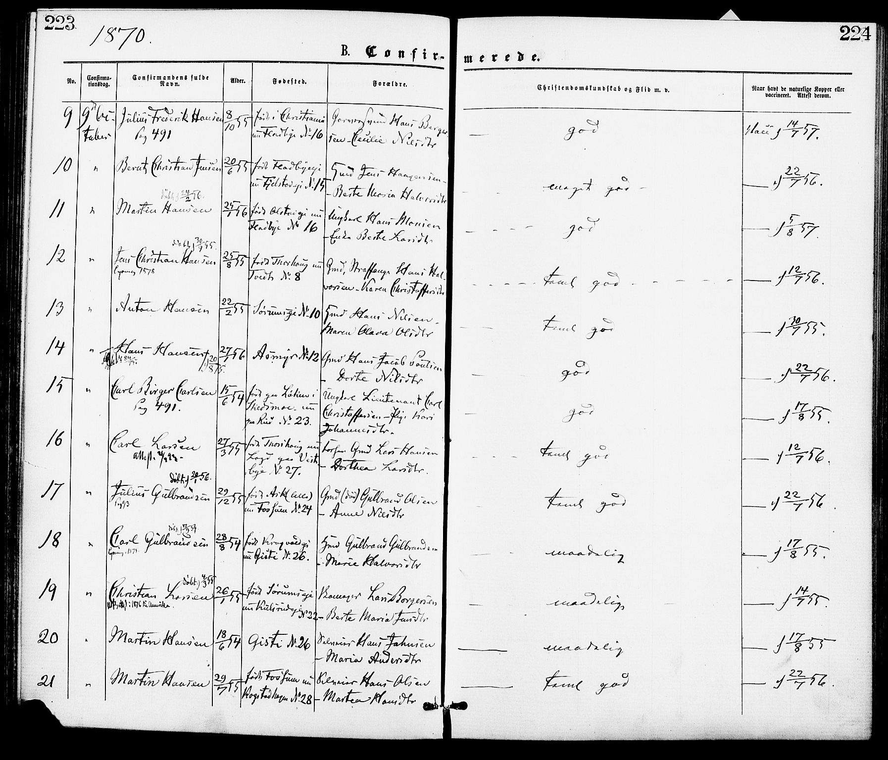 Gjerdrum prestekontor Kirkebøker, AV/SAO-A-10412b/F/Fa/L0008: Parish register (official) no. I 8, 1867-1880, p. 223-224