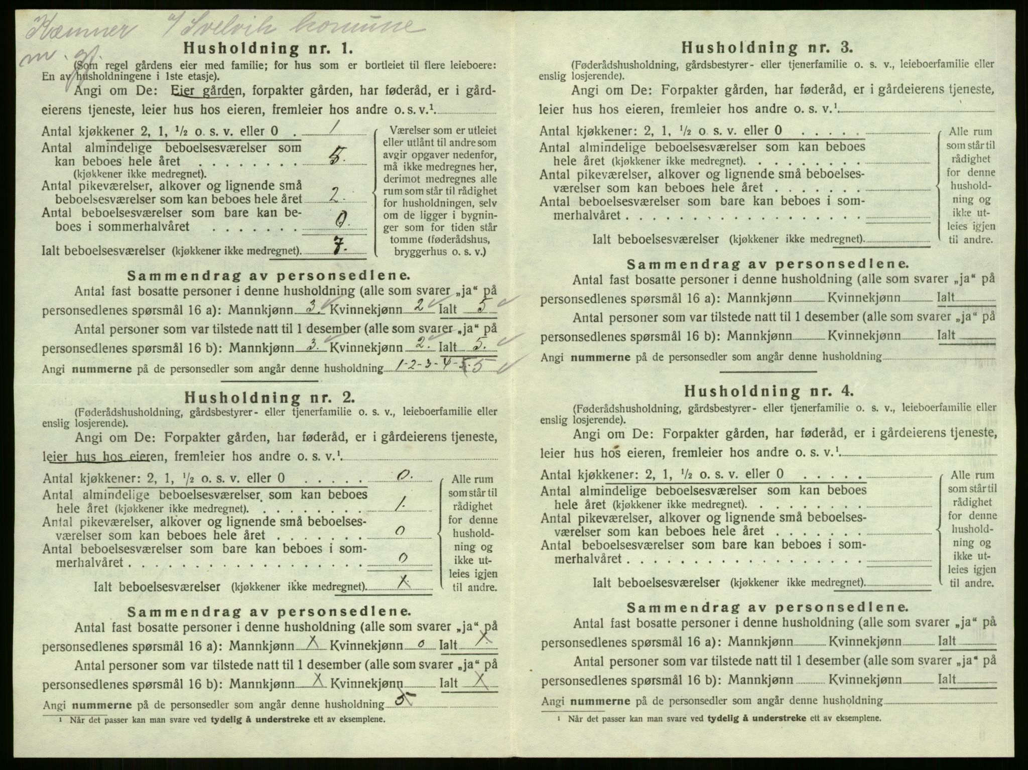 SAKO, 1920 census for Strømm, 1920, p. 425