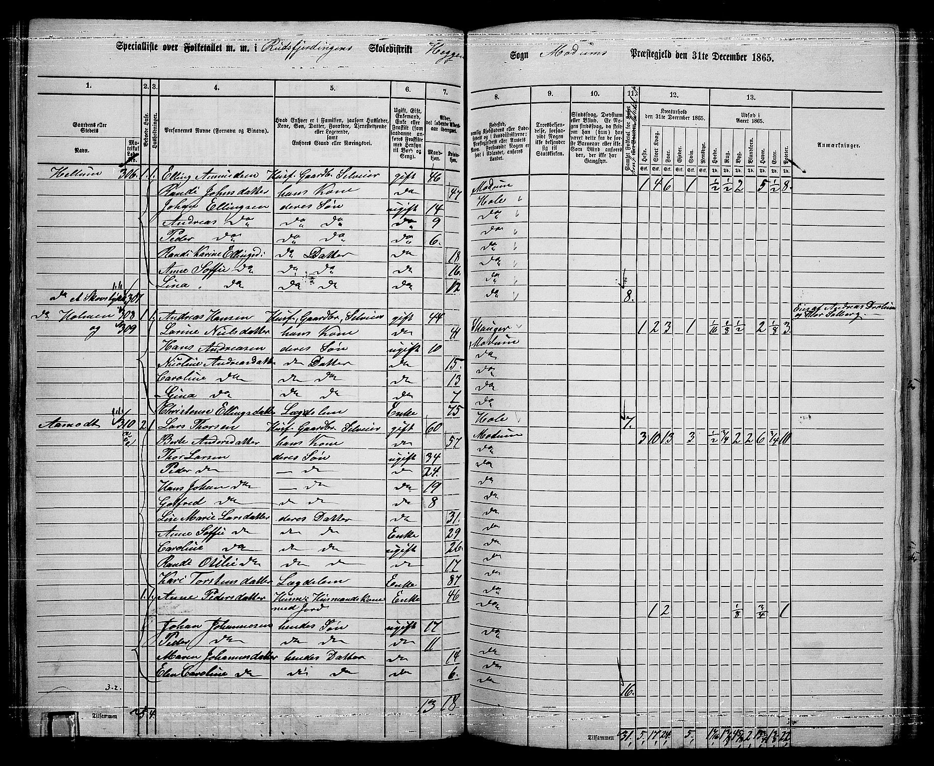 RA, 1865 census for Modum, 1865, p. 110