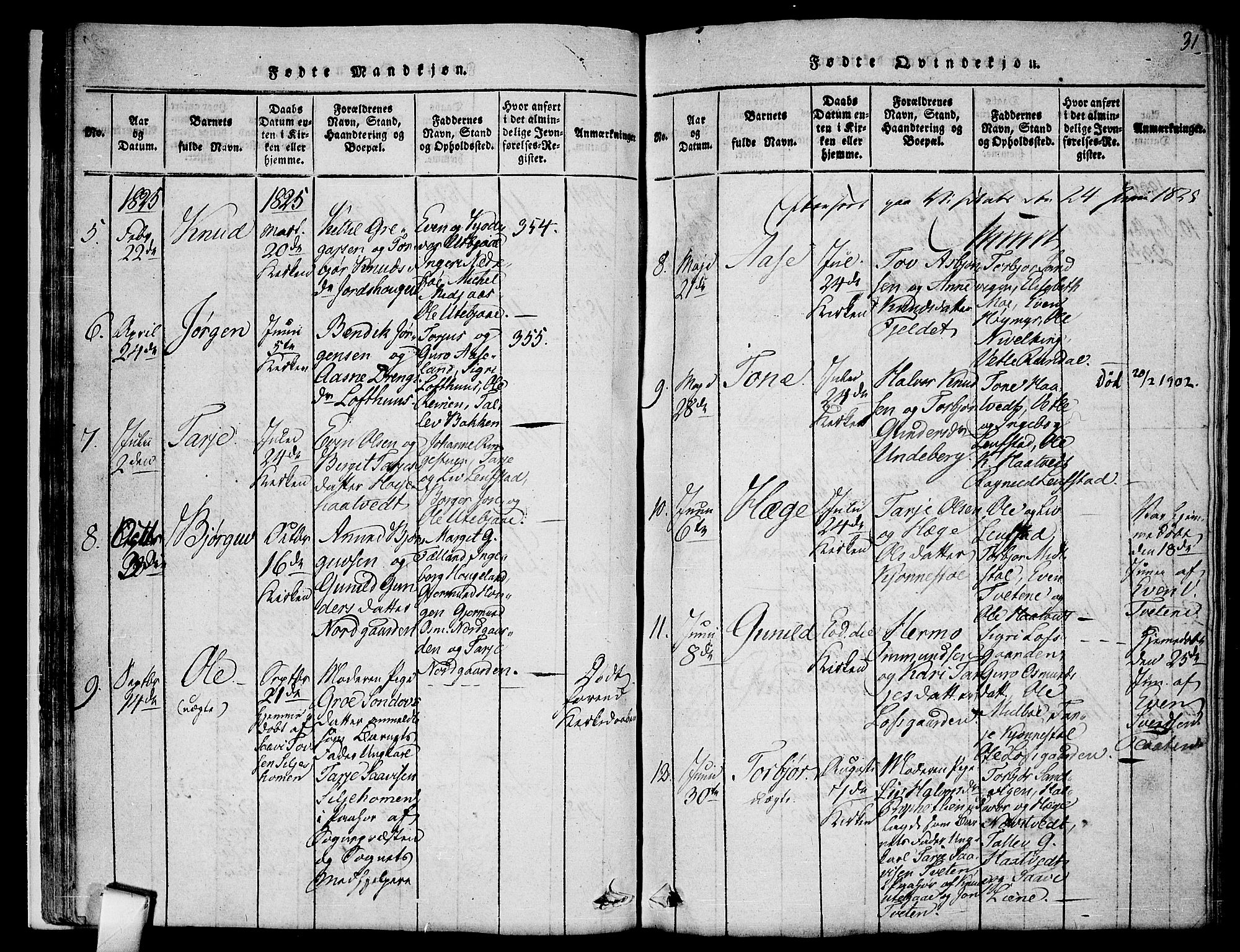 Mo kirkebøker, SAKO/A-286/F/Fa/L0004: Parish register (official) no. I 4, 1814-1844, p. 31
