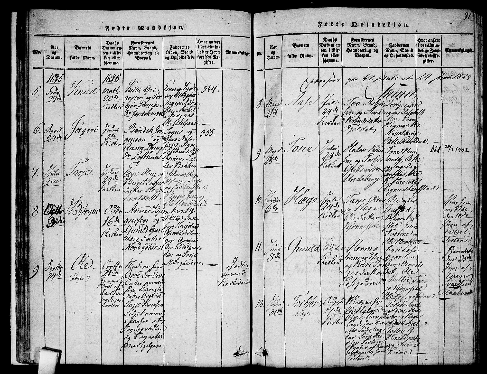 Mo kirkebøker, AV/SAKO-A-286/F/Fa/L0004: Parish register (official) no. I 4, 1814-1844, p. 31