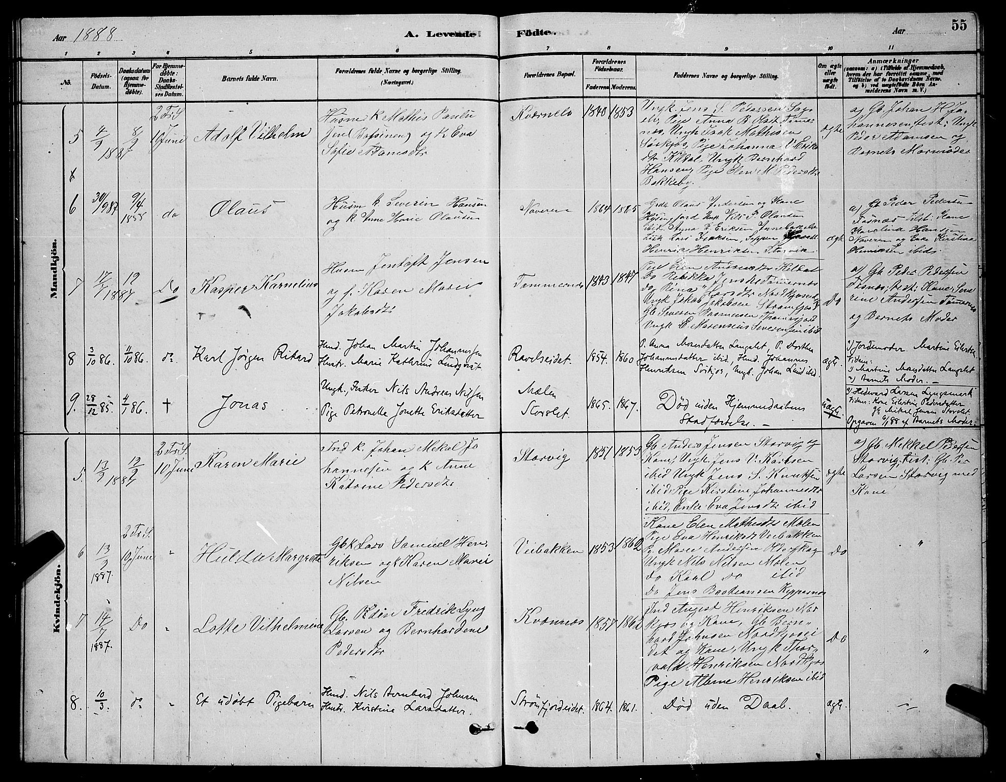 Skjervøy sokneprestkontor, AV/SATØ-S-1300/H/Ha/Hab/L0020klokker: Parish register (copy) no. 20, 1878-1892, p. 55