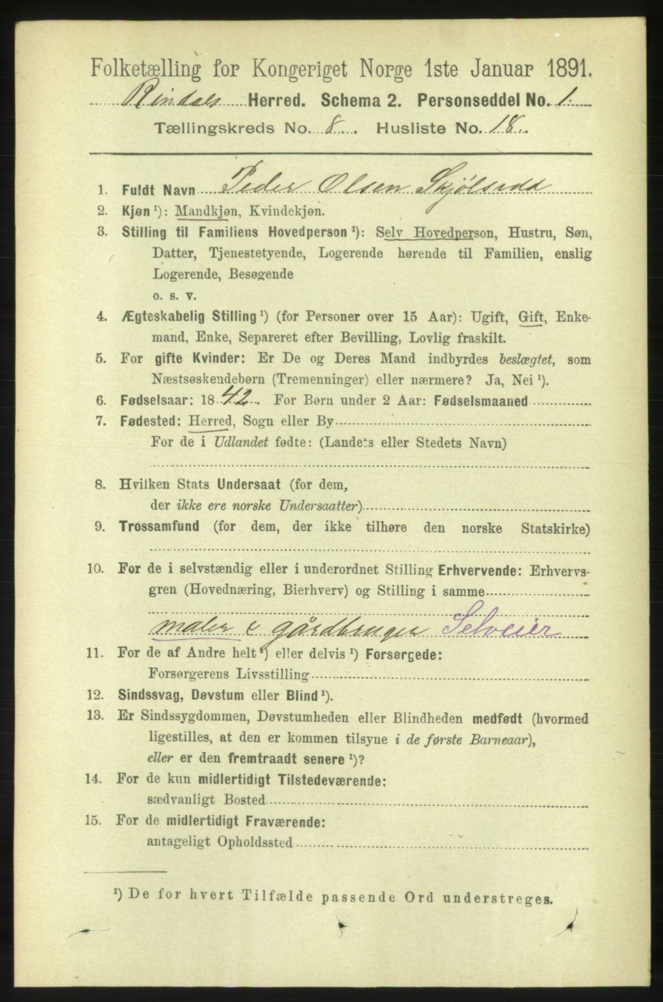 RA, 1891 census for 1567 Rindal, 1891, p. 2597