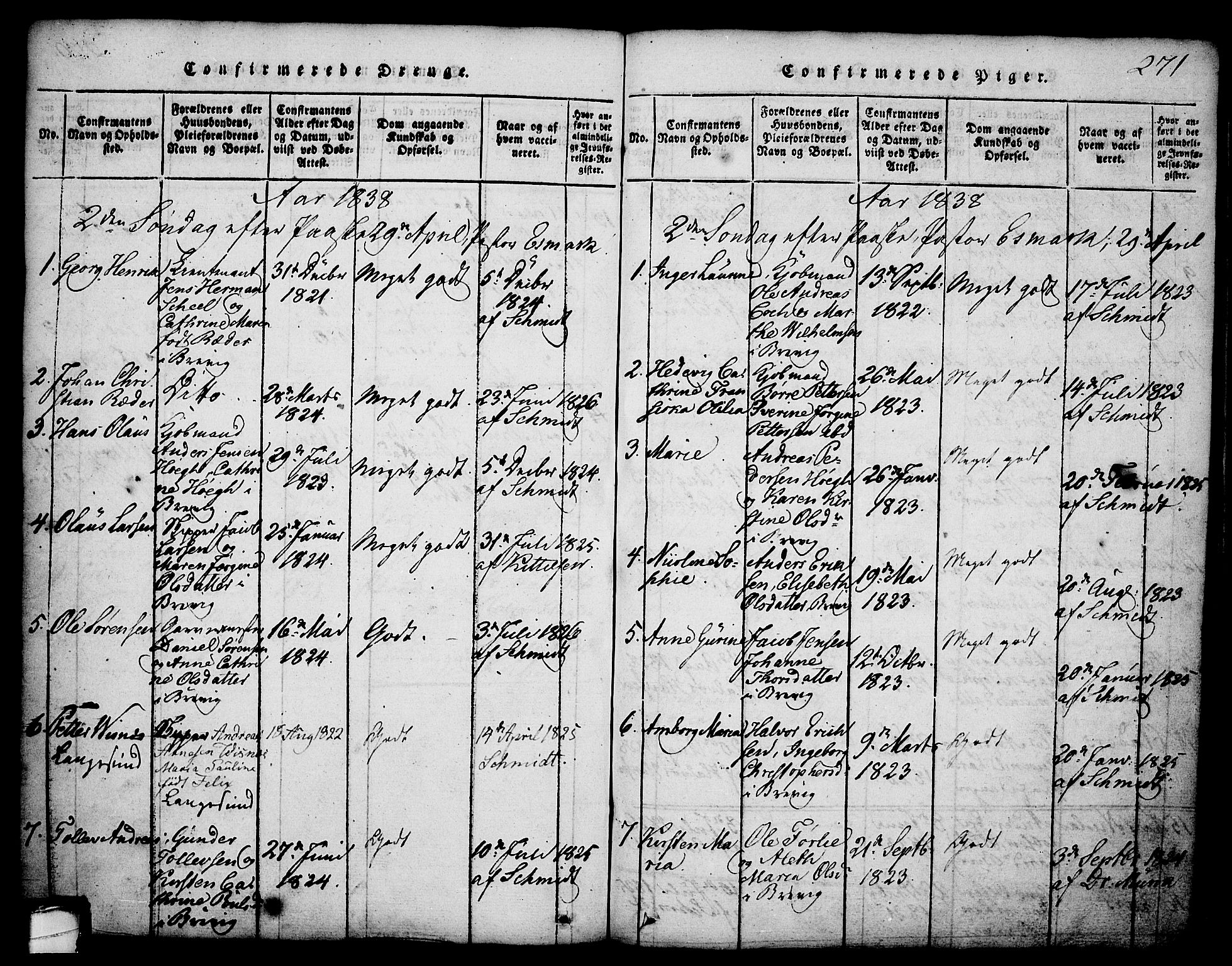 Brevik kirkebøker, SAKO/A-255/G/Ga/L0001: Parish register (copy) no. 1, 1814-1845, p. 271