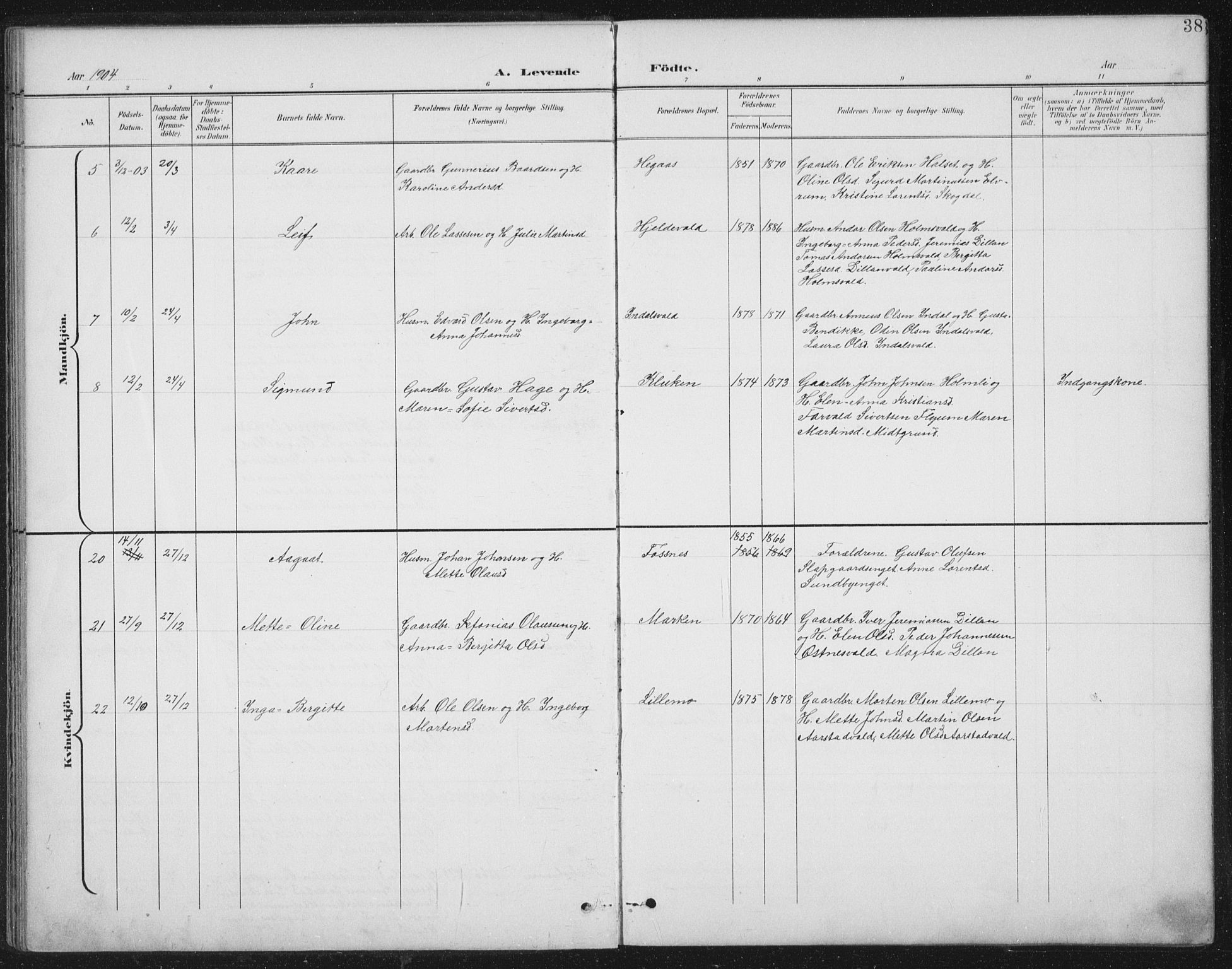 Ministerialprotokoller, klokkerbøker og fødselsregistre - Nord-Trøndelag, AV/SAT-A-1458/724/L0269: Parish register (copy) no. 724C05, 1899-1920, p. 38