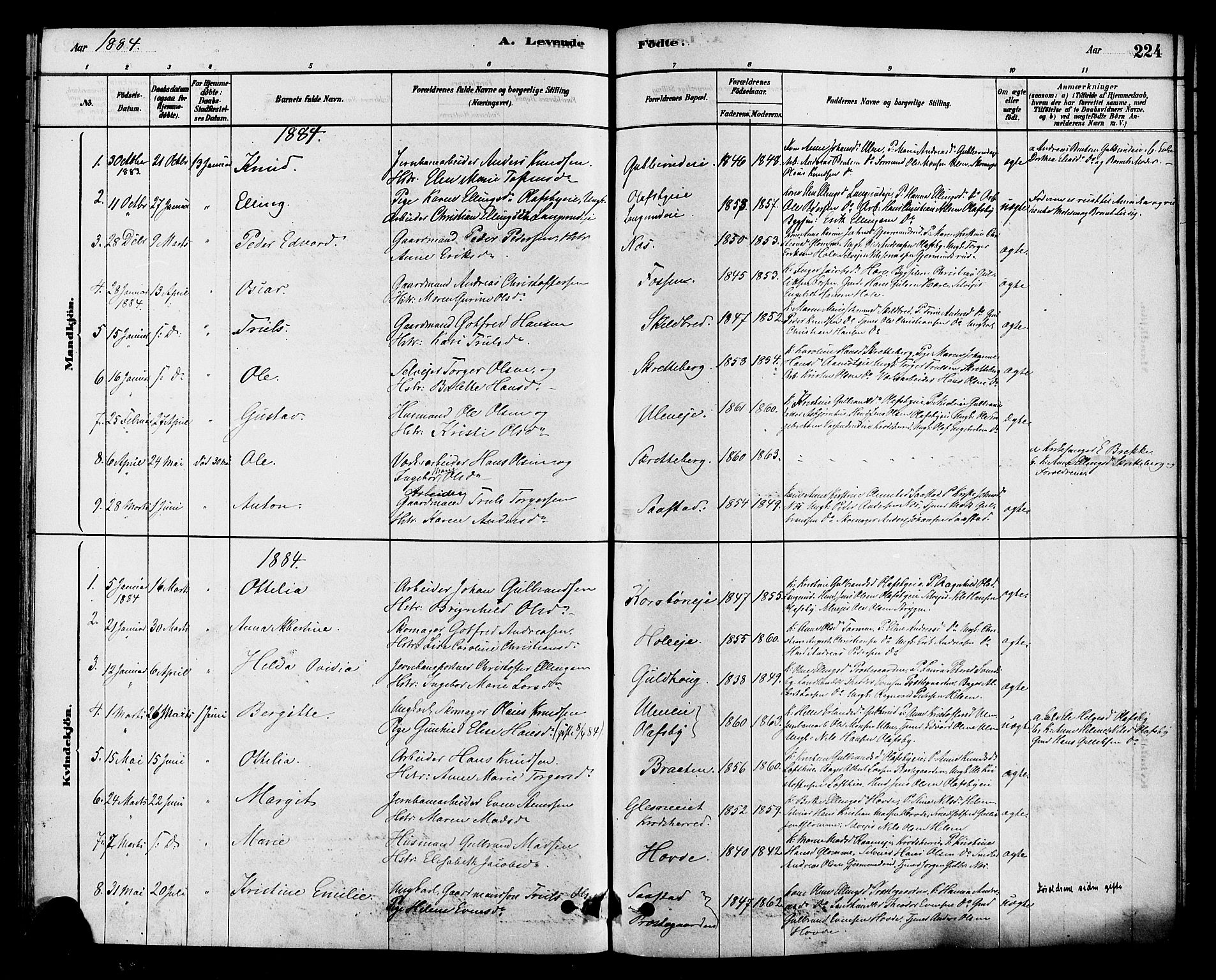 Modum kirkebøker, AV/SAKO-A-234/F/Fa/L0015: Parish register (official) no. 15 /2, 1877-1889, p. 224