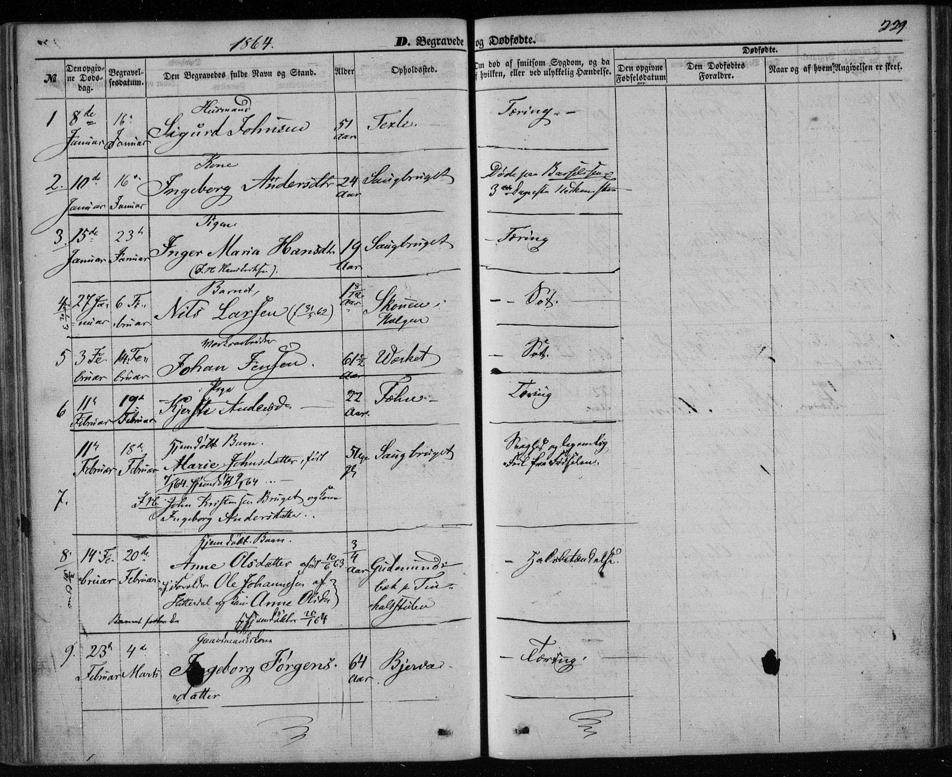 Holla kirkebøker, SAKO/A-272/F/Fa/L0006: Parish register (official) no. 6, 1861-1869, p. 229