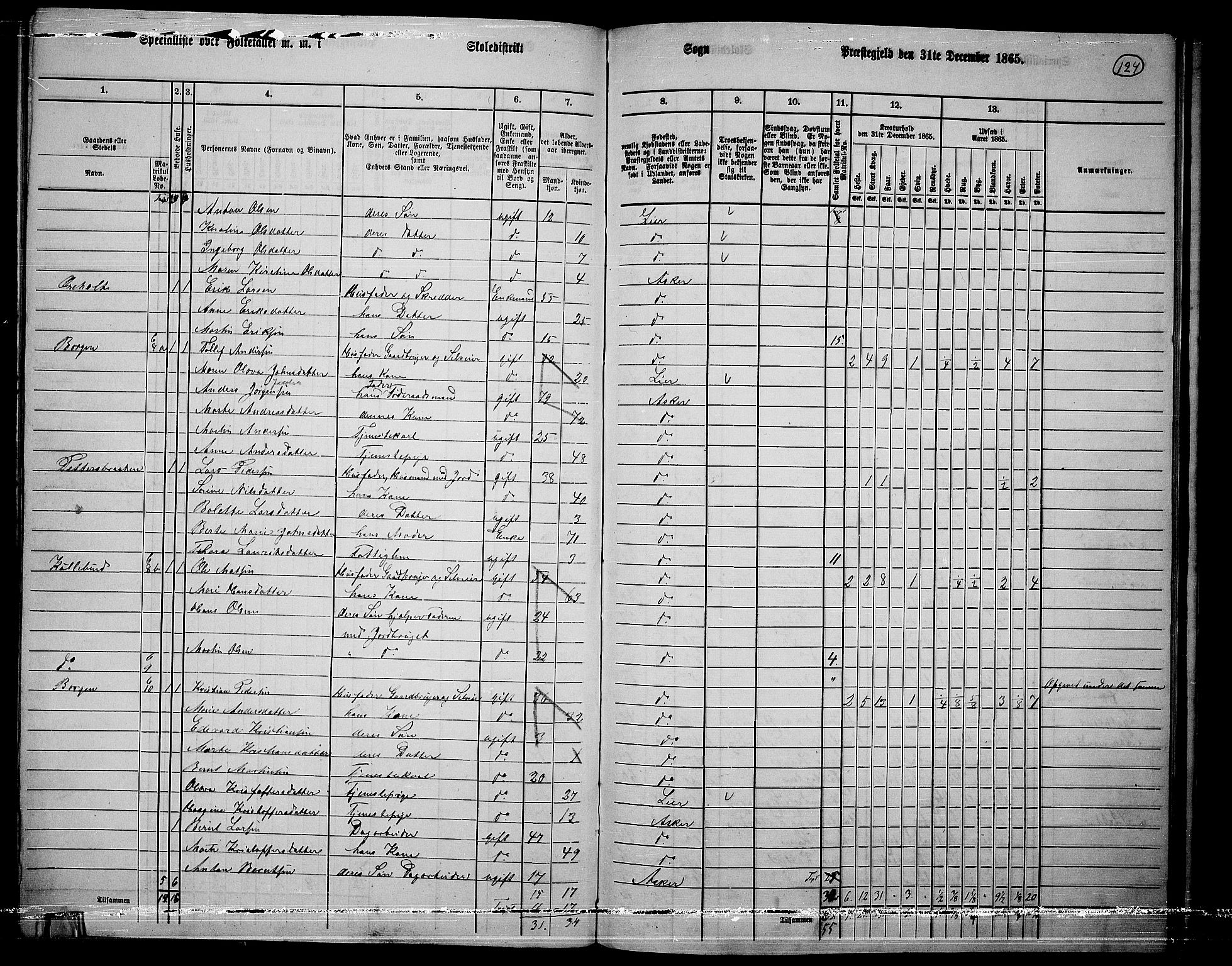 RA, 1865 census for Asker, 1865, p. 120