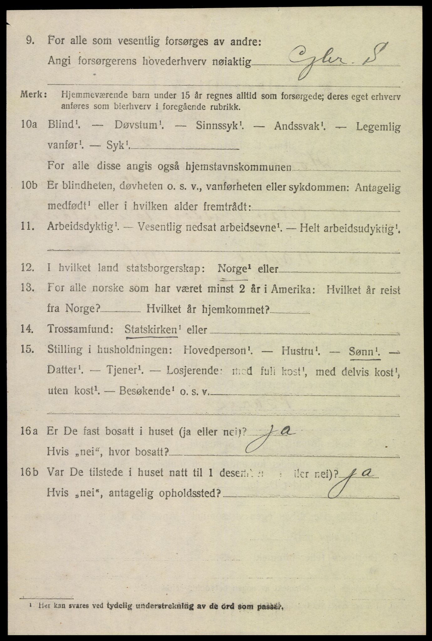 SAK, 1920 census for Hornnes, 1920, p. 2500