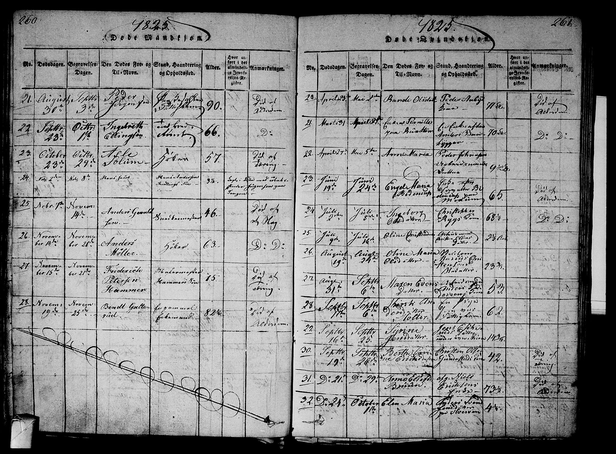 Strømsø kirkebøker, AV/SAKO-A-246/G/Ga/L0001: Parish register (copy) no. 1, 1815-1829, p. 260-261