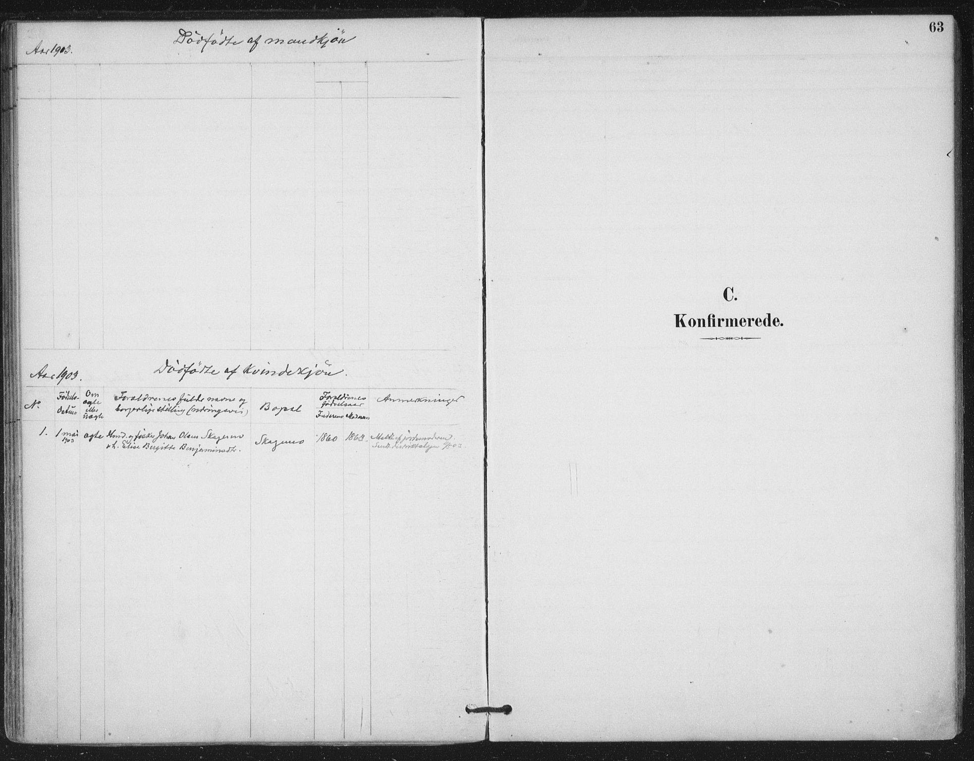 Ministerialprotokoller, klokkerbøker og fødselsregistre - Nord-Trøndelag, SAT/A-1458/780/L0644: Parish register (official) no. 780A08, 1886-1903, p. 63
