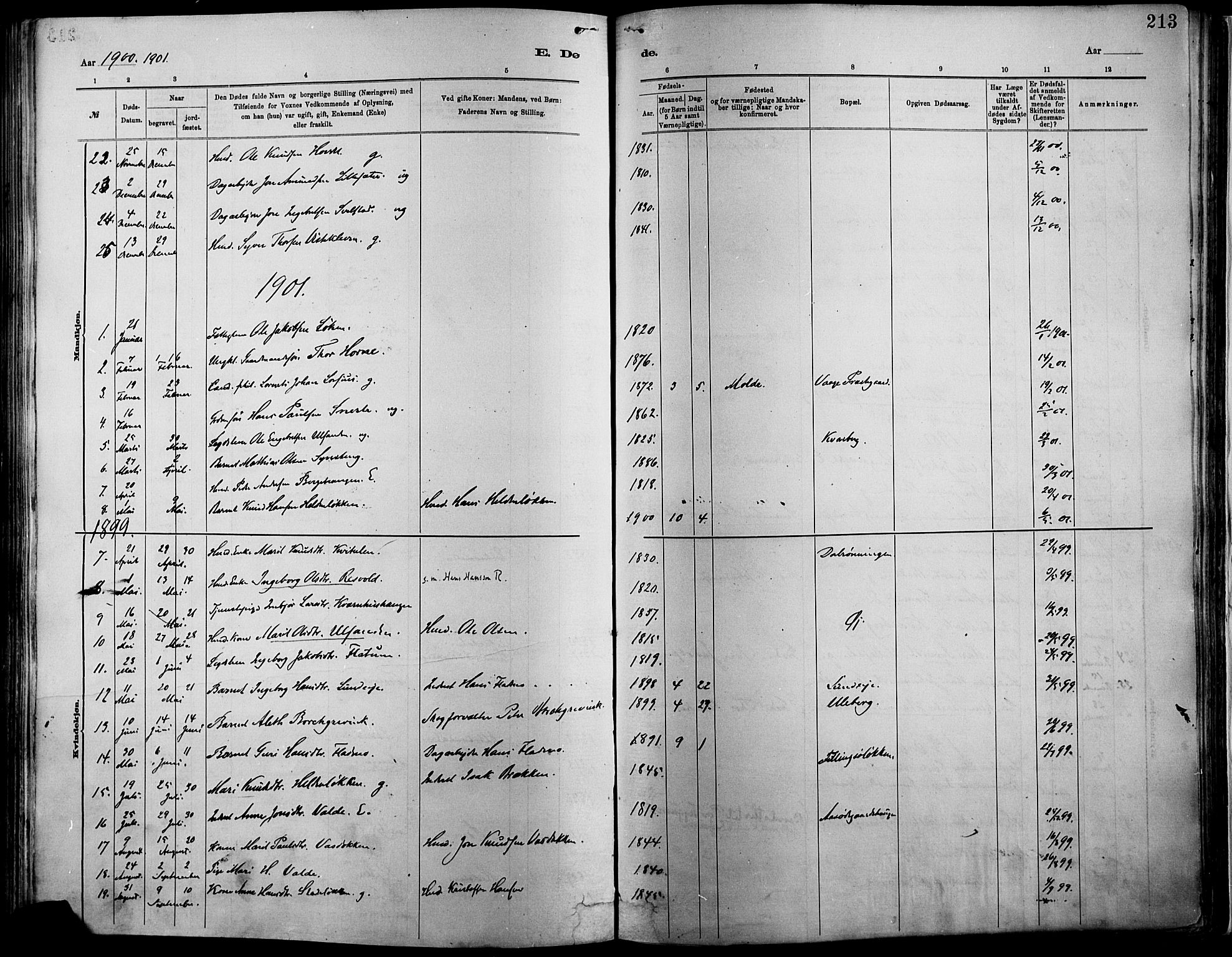 Vågå prestekontor, SAH/PREST-076/H/Ha/Haa/L0009: Parish register (official) no. 9, 1886-1904, p. 213