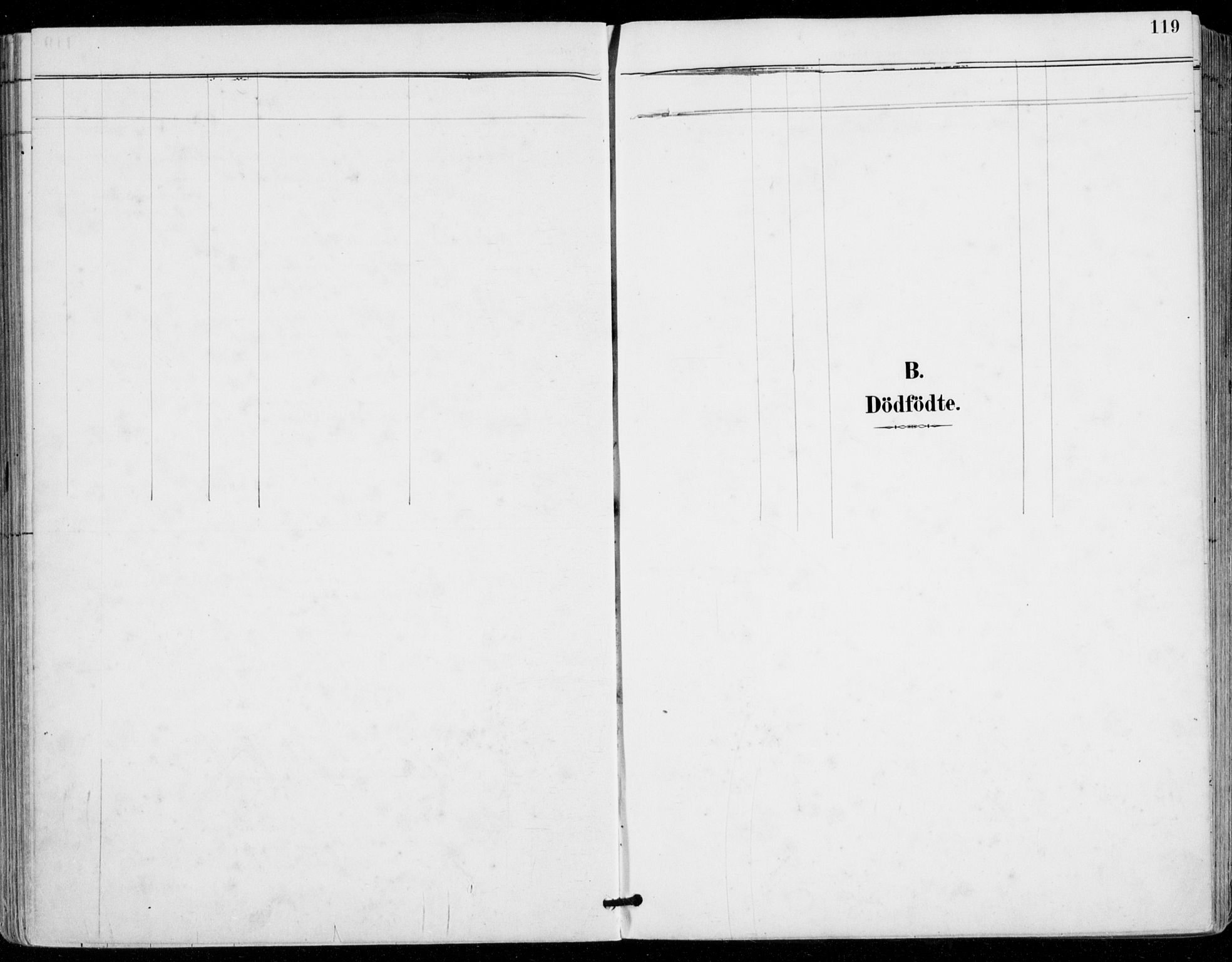 Sylling kirkebøker, SAKO/A-247/F/Fa/L0001: Parish register (official) no. 1, 1883-1910, p. 119