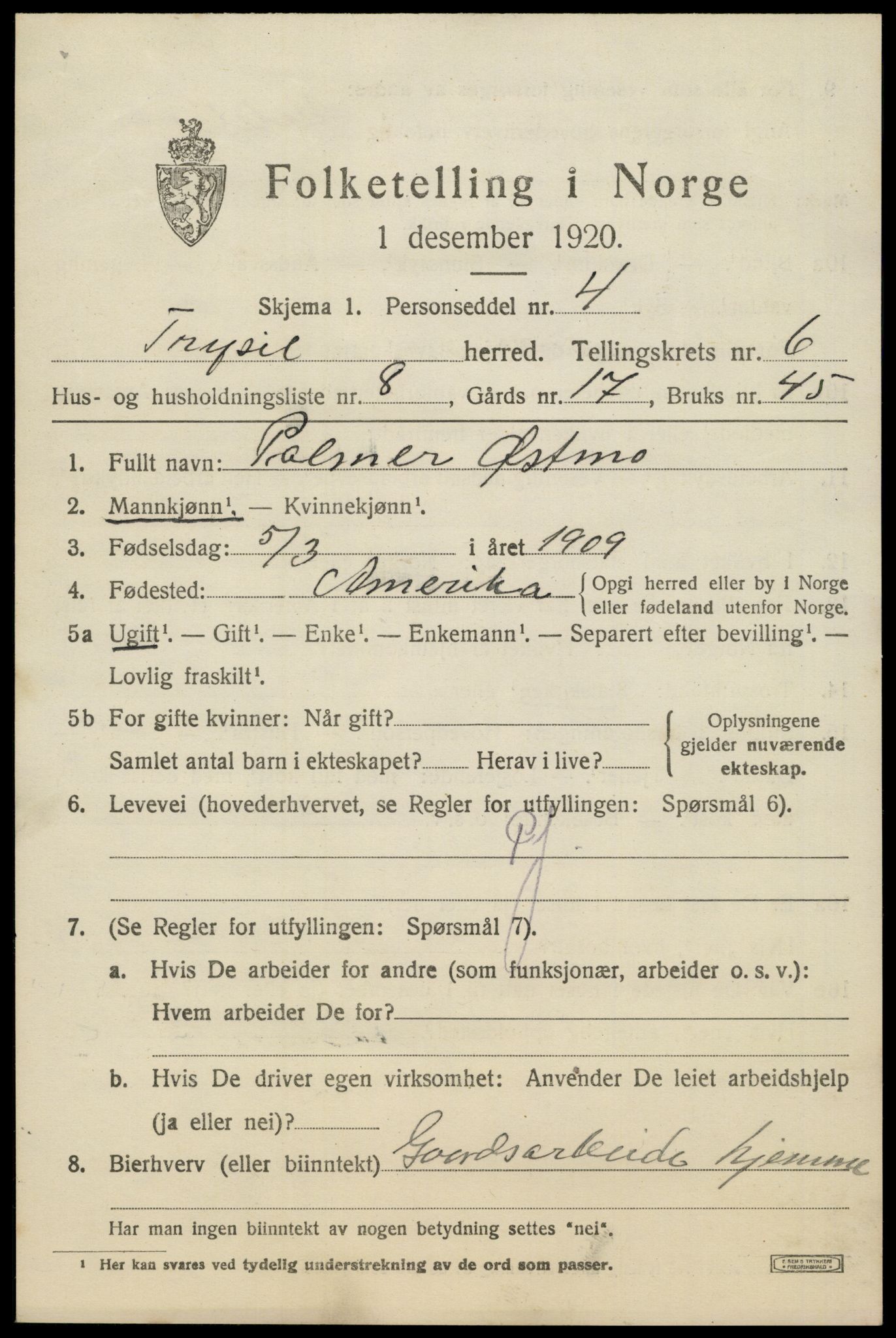 SAH, 1920 census for Trysil, 1920, p. 4621