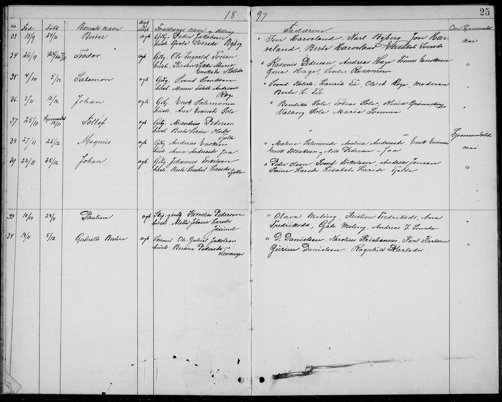 Håland sokneprestkontor, AV/SAST-A-101802/001/30BB/L0004: Parish register (copy) no. B 4, 1893-1898, p. 25