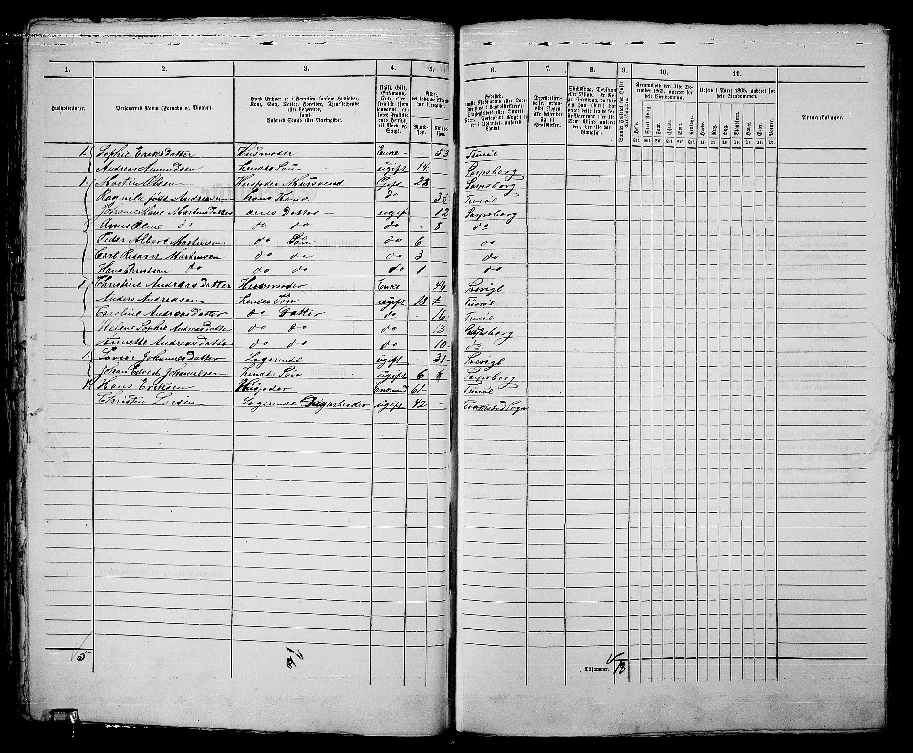 RA, 1865 census for Sarpsborg, 1865, p. 87