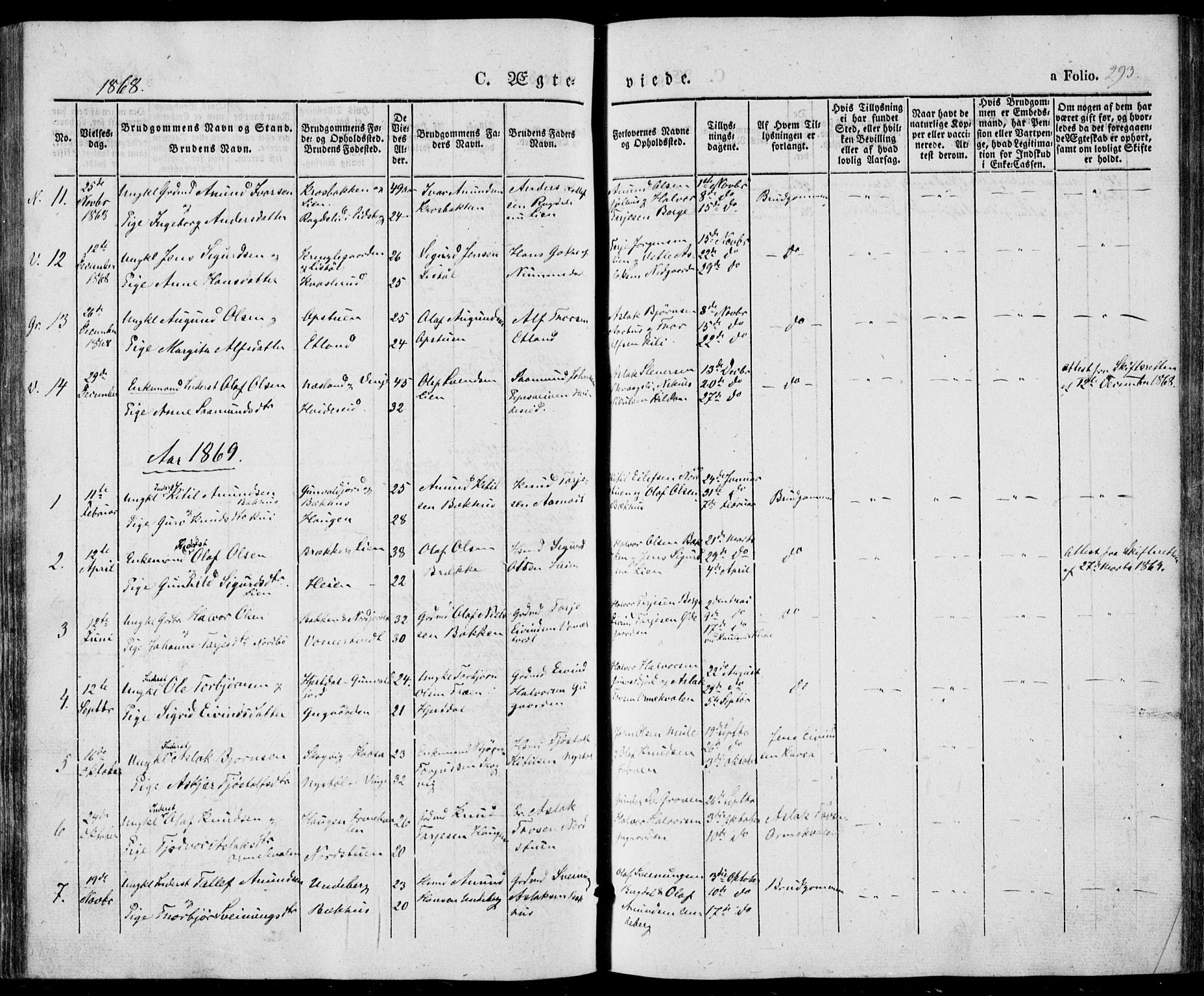 Vinje kirkebøker, SAKO/A-312/F/Fa/L0004: Parish register (official) no. I 4, 1843-1869, p. 293