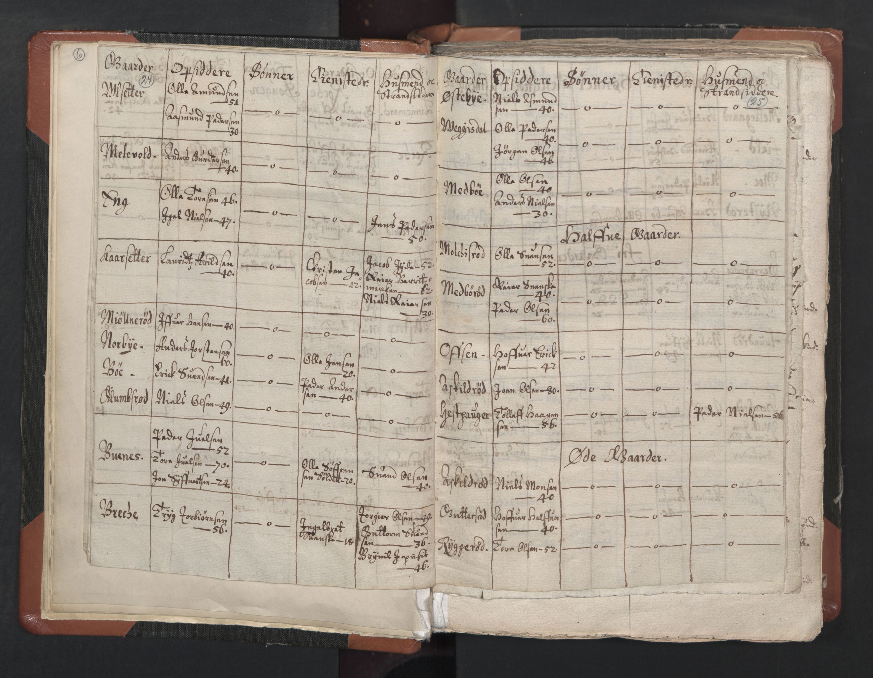 RA, Vicar's Census 1664-1666, no. 1: Nedre Borgesyssel deanery, 1664-1666, p. 24-25