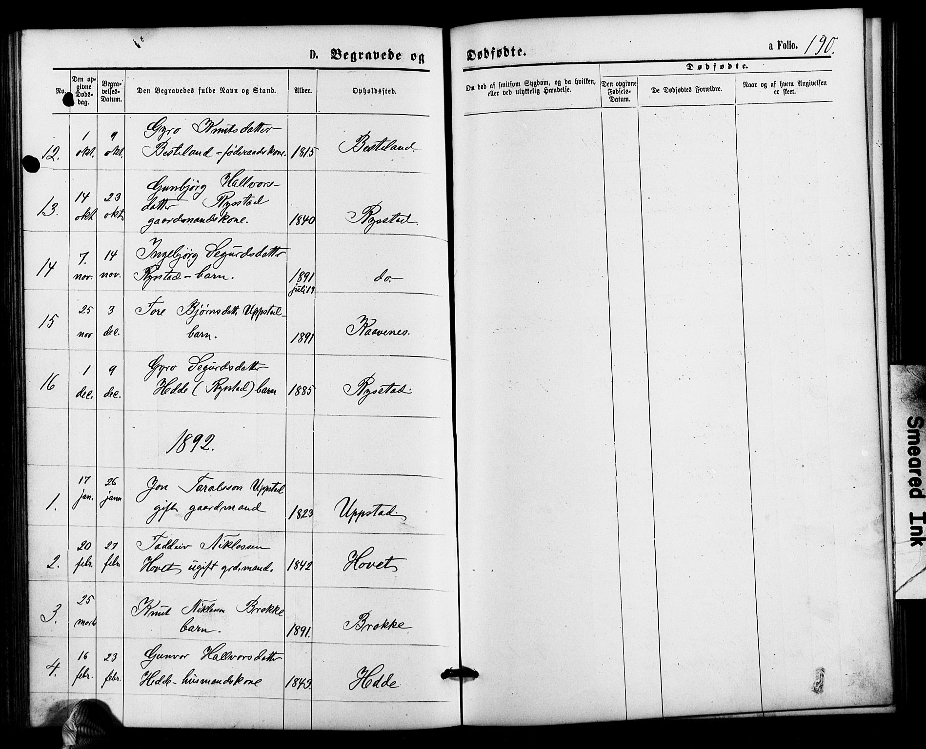 Valle sokneprestkontor, AV/SAK-1111-0044/F/Fb/Fbb/L0002: Parish register (copy) no. B 2, 1875-1921, p. 190