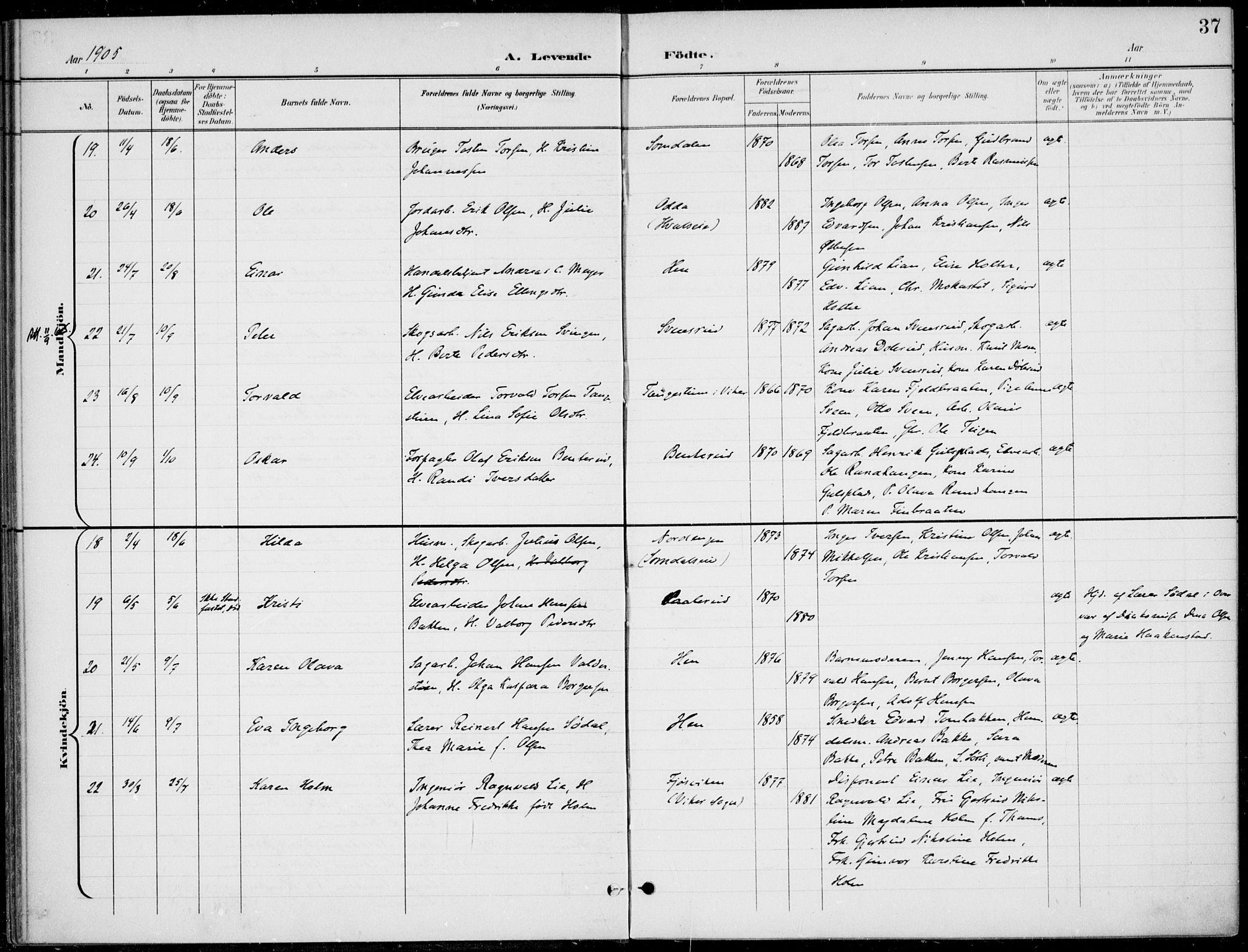 Ådal kirkebøker, SAKO/A-248/F/Fb/L0002: Parish register (official) no. II 2, 1898-1917, p. 37