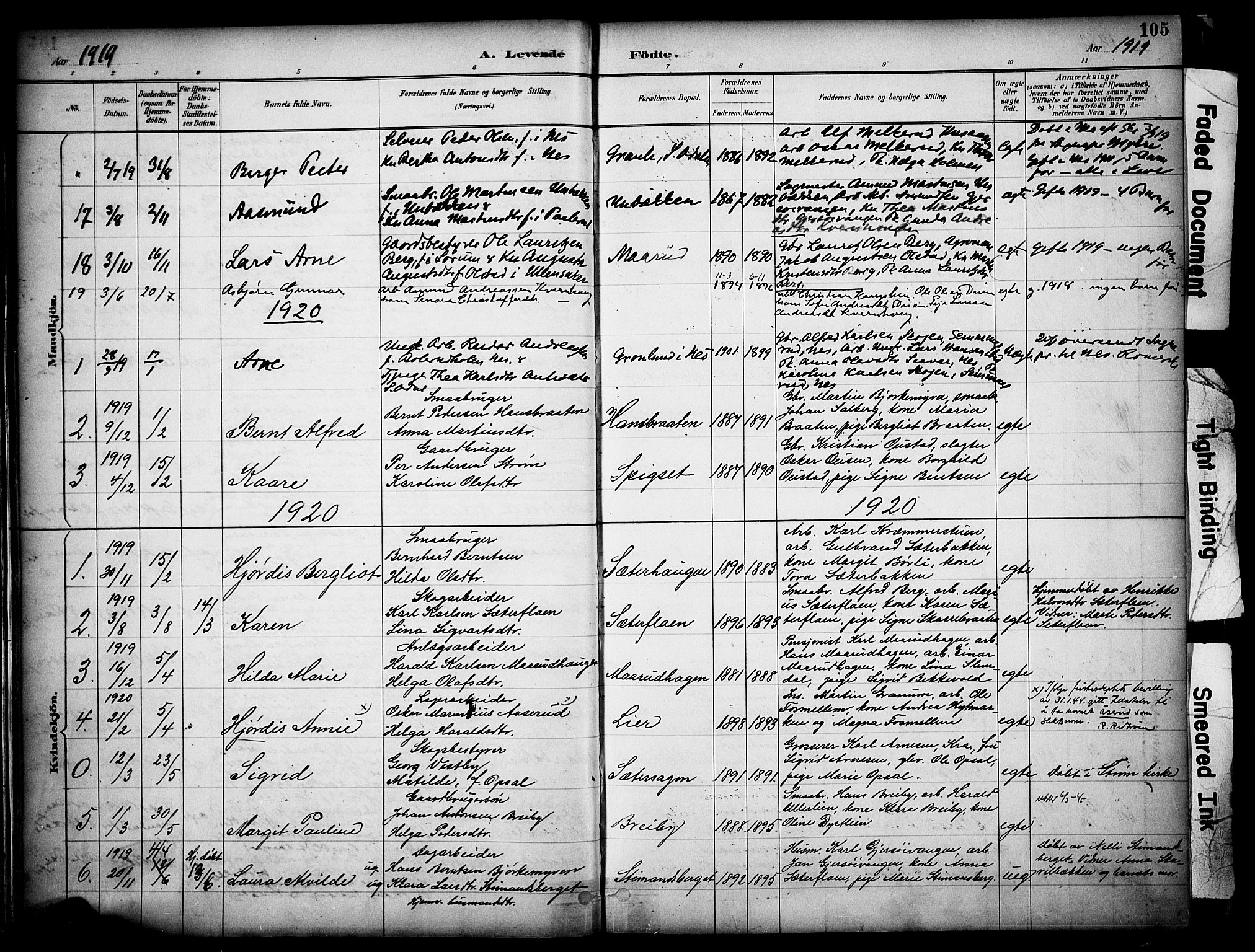 Sør-Odal prestekontor, SAH/PREST-030/H/Ha/Haa/L0008: Parish register (official) no. 8, 1886-1922, p. 105