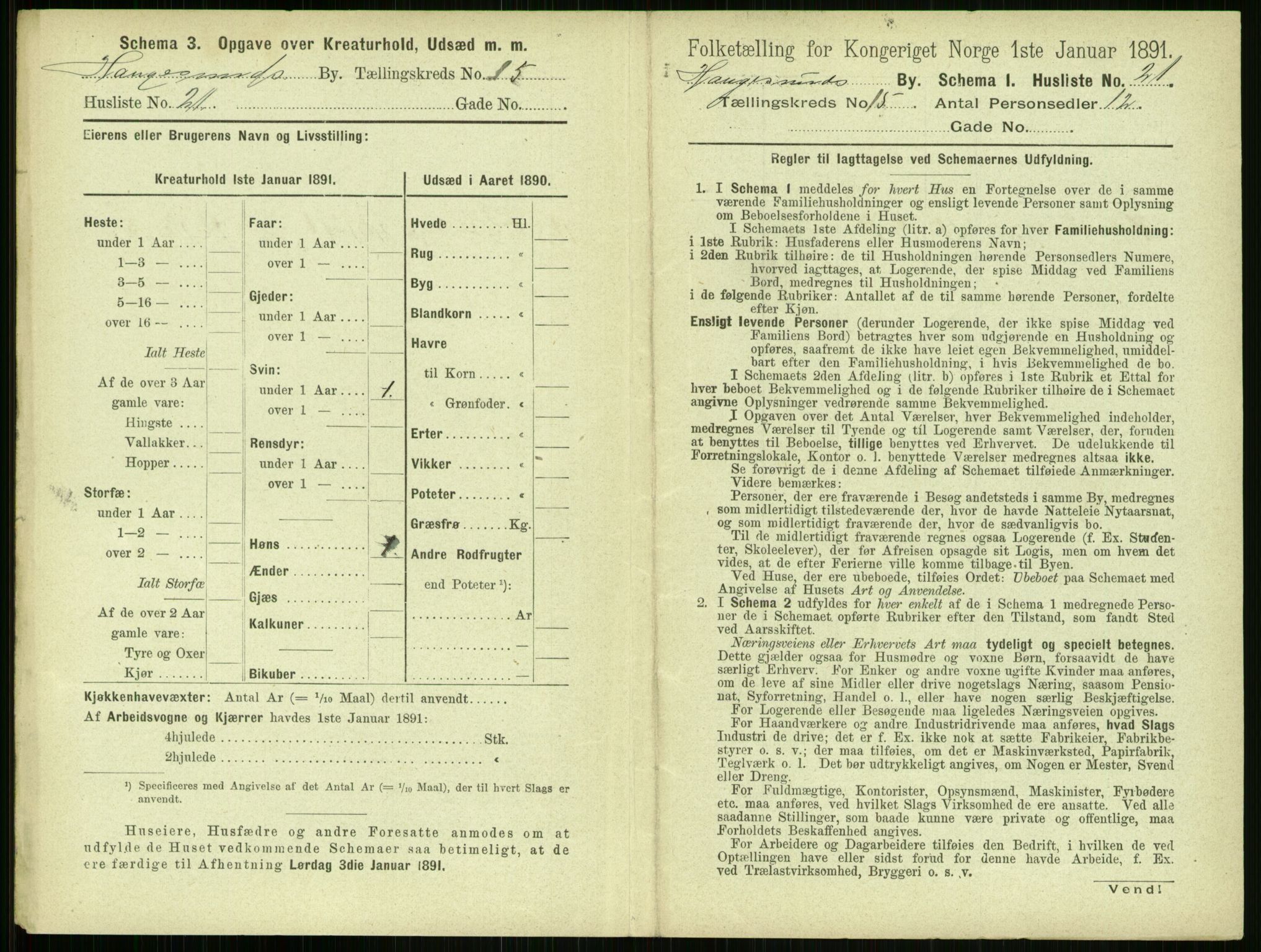 RA, 1891 census for 1106 Haugesund, 1891, p. 1004