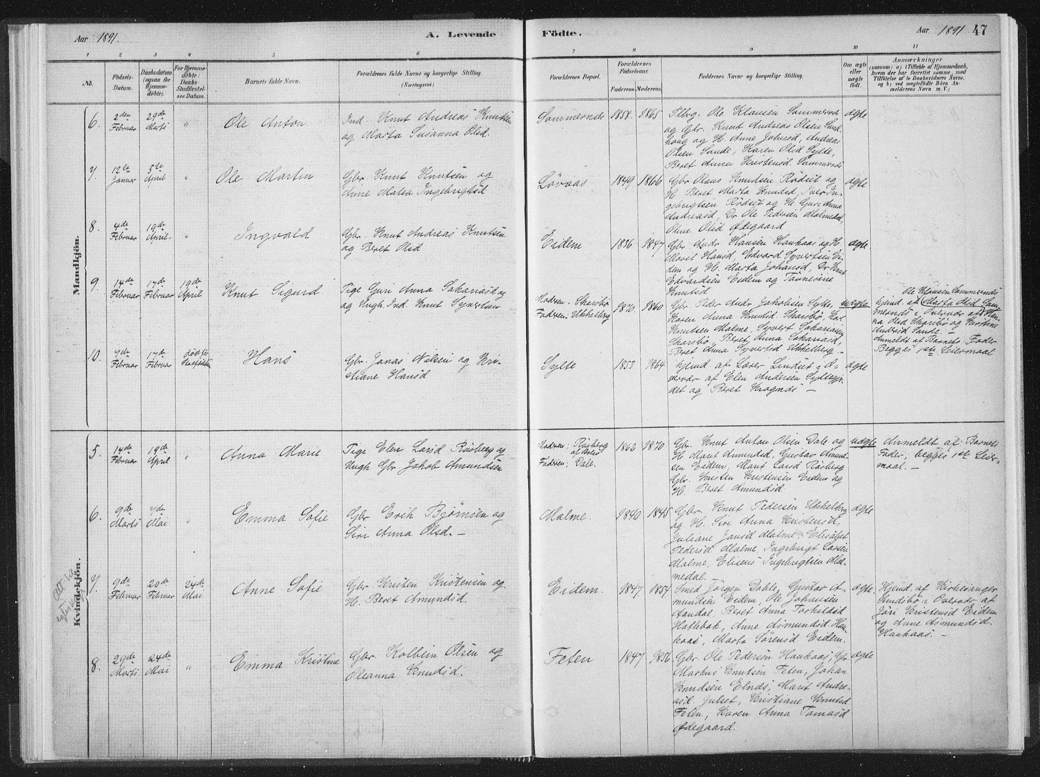 Ministerialprotokoller, klokkerbøker og fødselsregistre - Møre og Romsdal, AV/SAT-A-1454/564/L0740: Parish register (official) no. 564A01, 1880-1899, p. 47