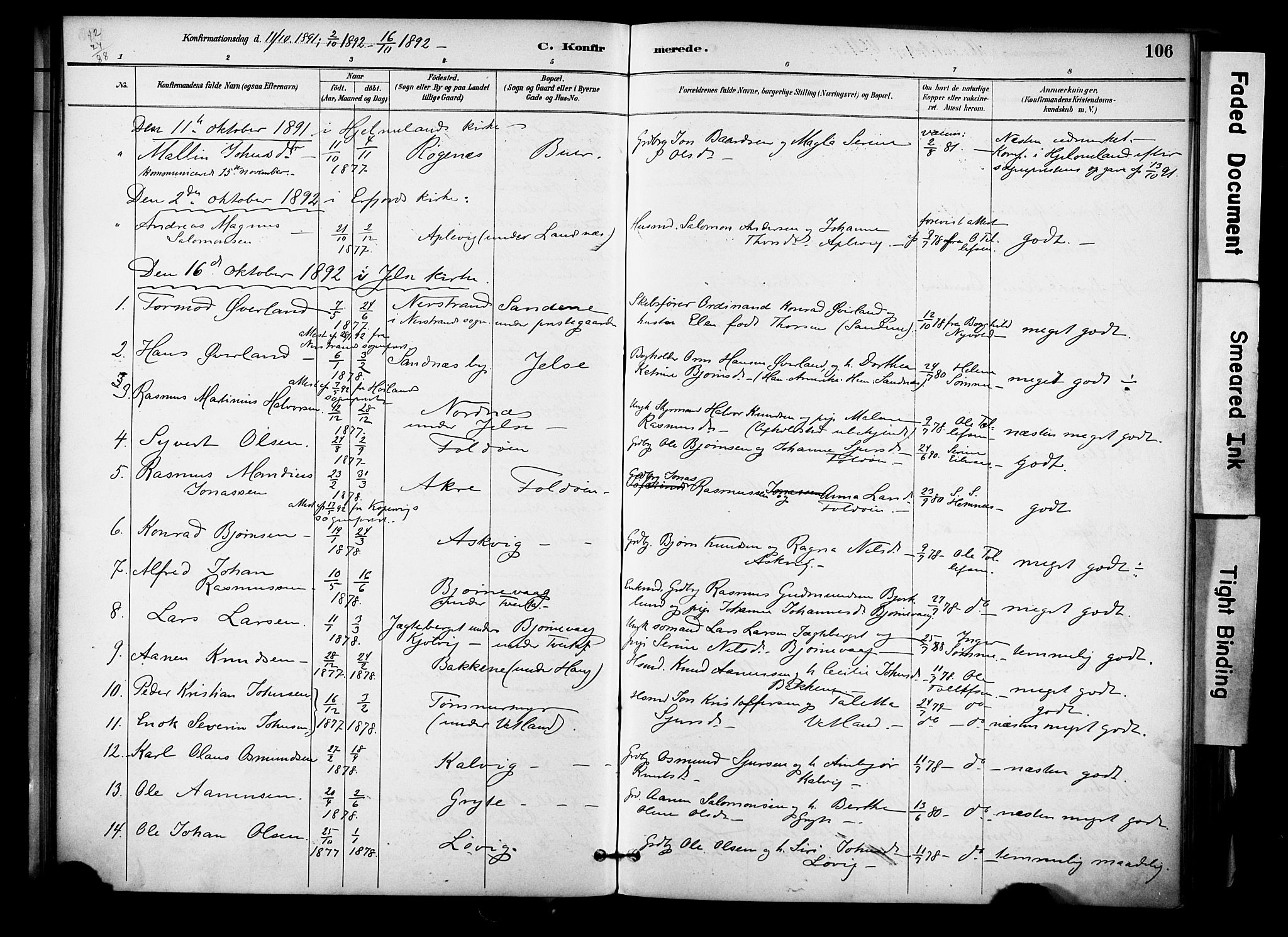 Jelsa sokneprestkontor, AV/SAST-A-101842/01/IV: Parish register (official) no. A 10, 1884-1906, p. 106