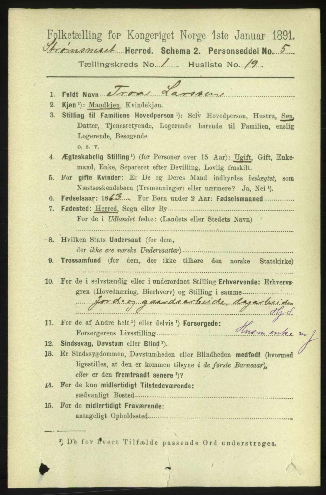 RA, 1891 census for 1559 Straumsnes, 1891, p. 178