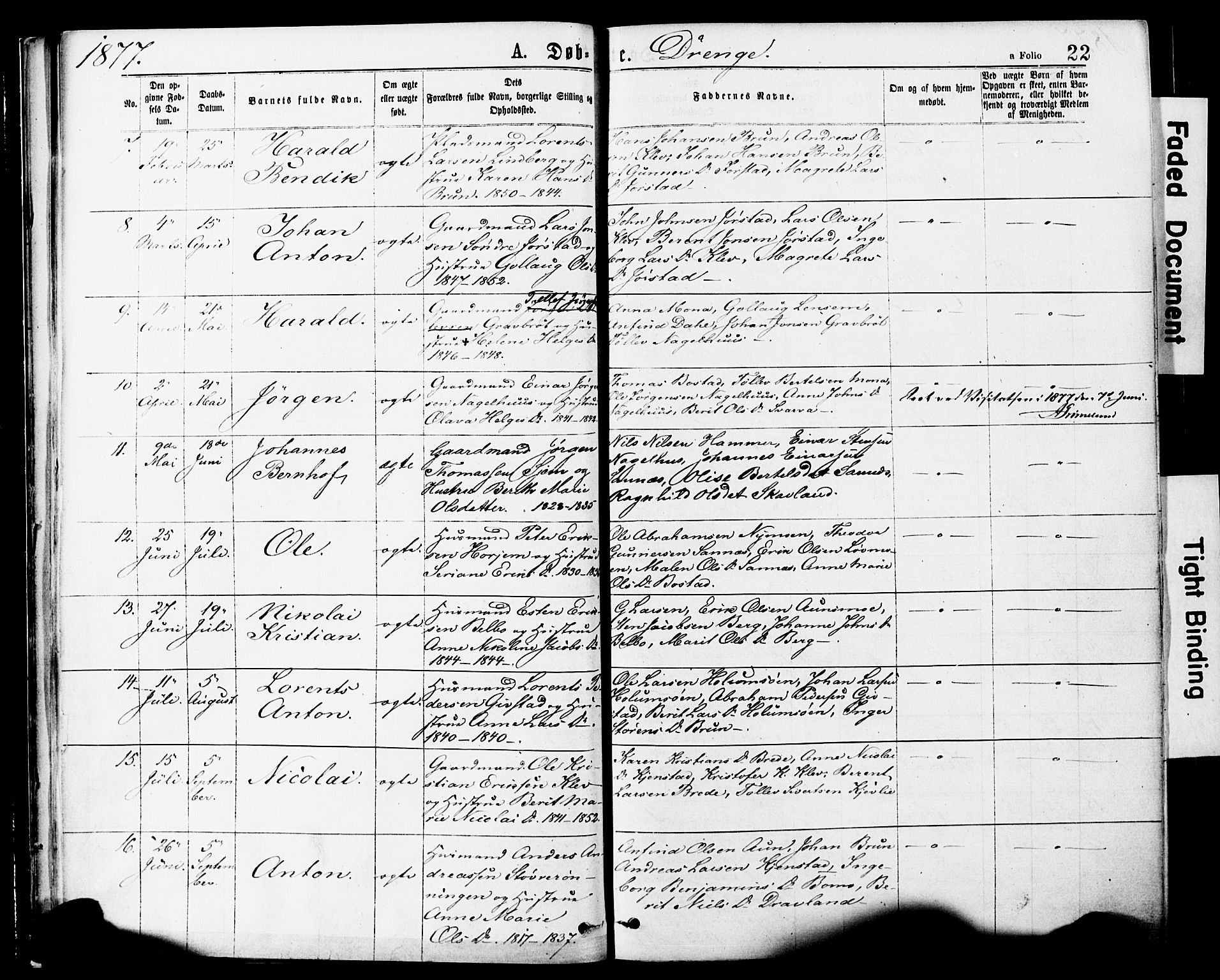 Ministerialprotokoller, klokkerbøker og fødselsregistre - Nord-Trøndelag, SAT/A-1458/749/L0473: Parish register (official) no. 749A07, 1873-1887, p. 22