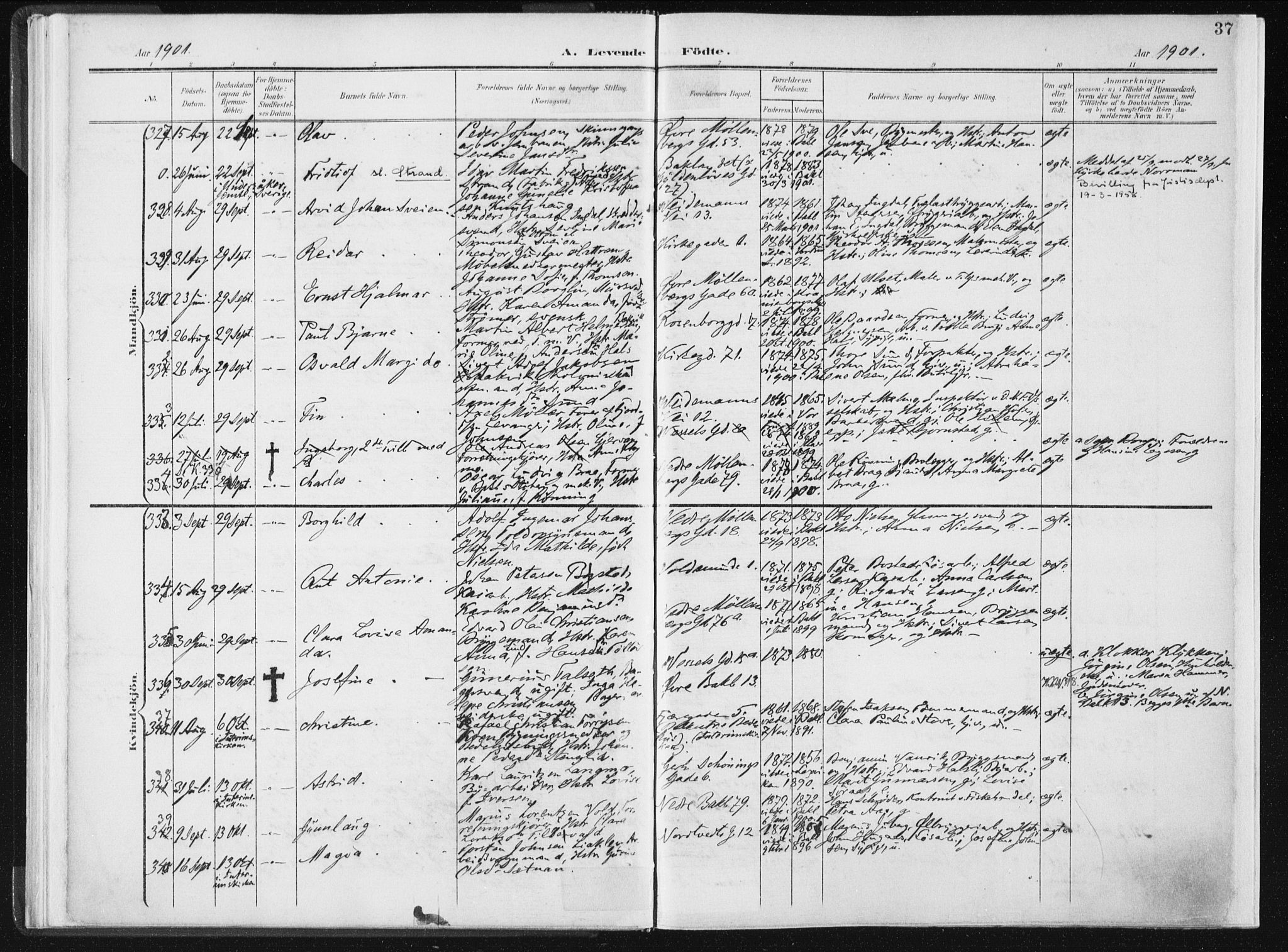 Ministerialprotokoller, klokkerbøker og fødselsregistre - Sør-Trøndelag, AV/SAT-A-1456/604/L0199: Parish register (official) no. 604A20I, 1901-1906, p. 37