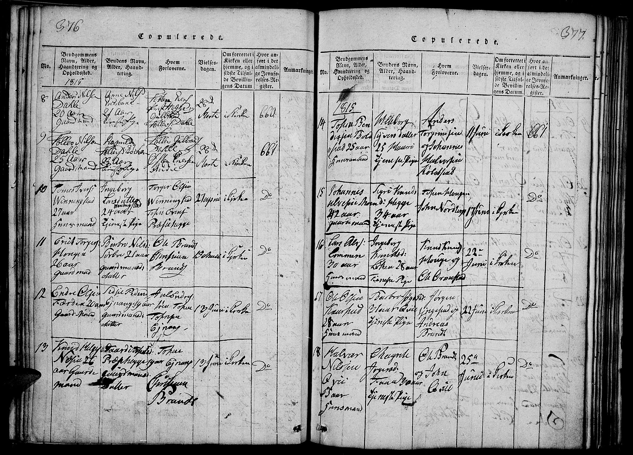 Slidre prestekontor, SAH/PREST-134/H/Ha/Haa/L0002: Parish register (official) no. 2, 1814-1830, p. 376-377