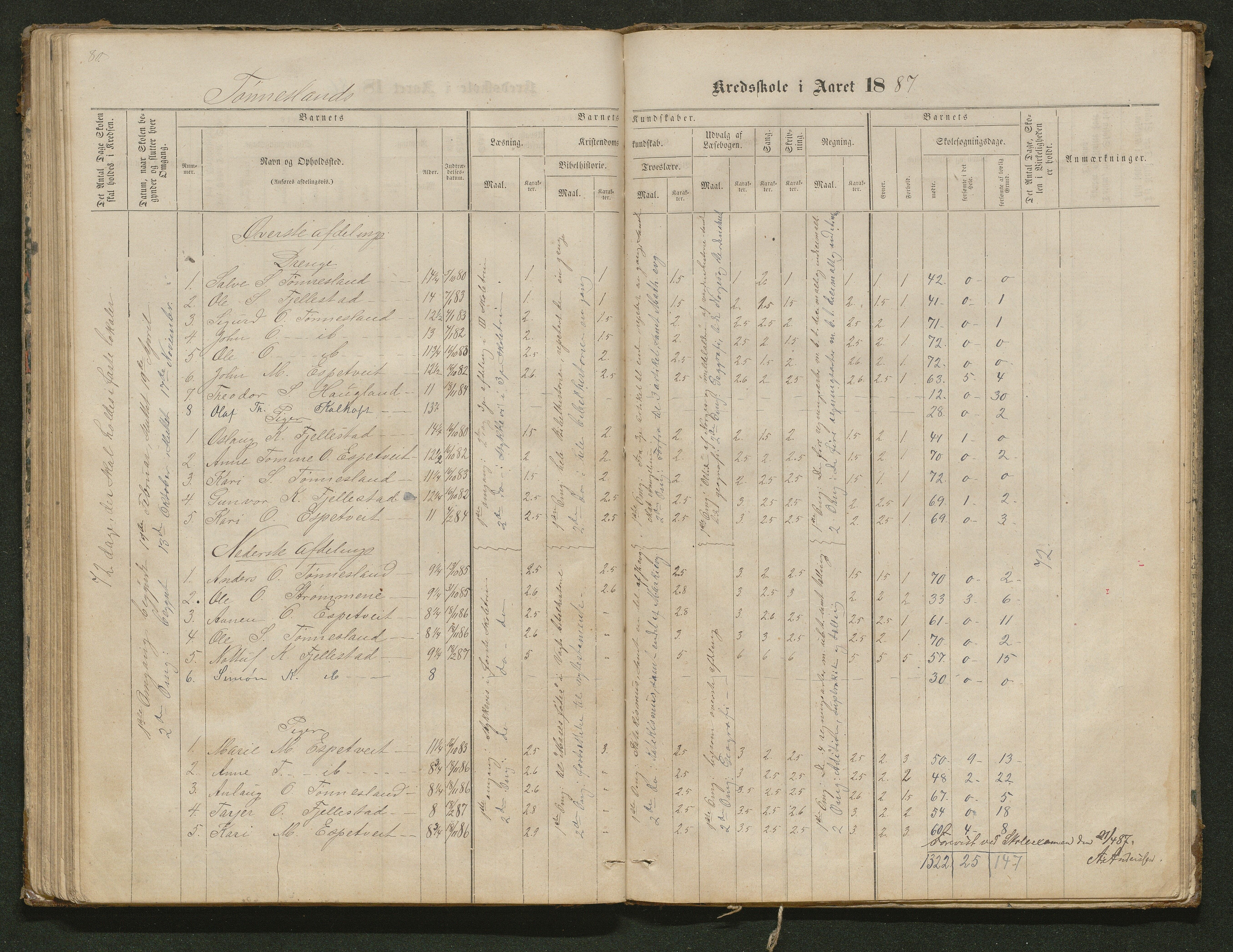 Hornnes kommune, Tønnesvold, Abusland skolekretser, AAKS/KA0936-550g/F1/L0001: Skoleprotokoll Abusland, Tønnesvold, 1864-1896, p. 80