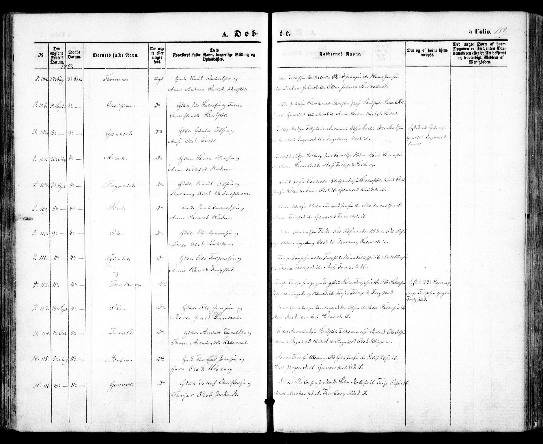 Evje sokneprestkontor, AV/SAK-1111-0008/F/Fa/Faa/L0005: Parish register (official) no. A 5, 1843-1865, p. 119