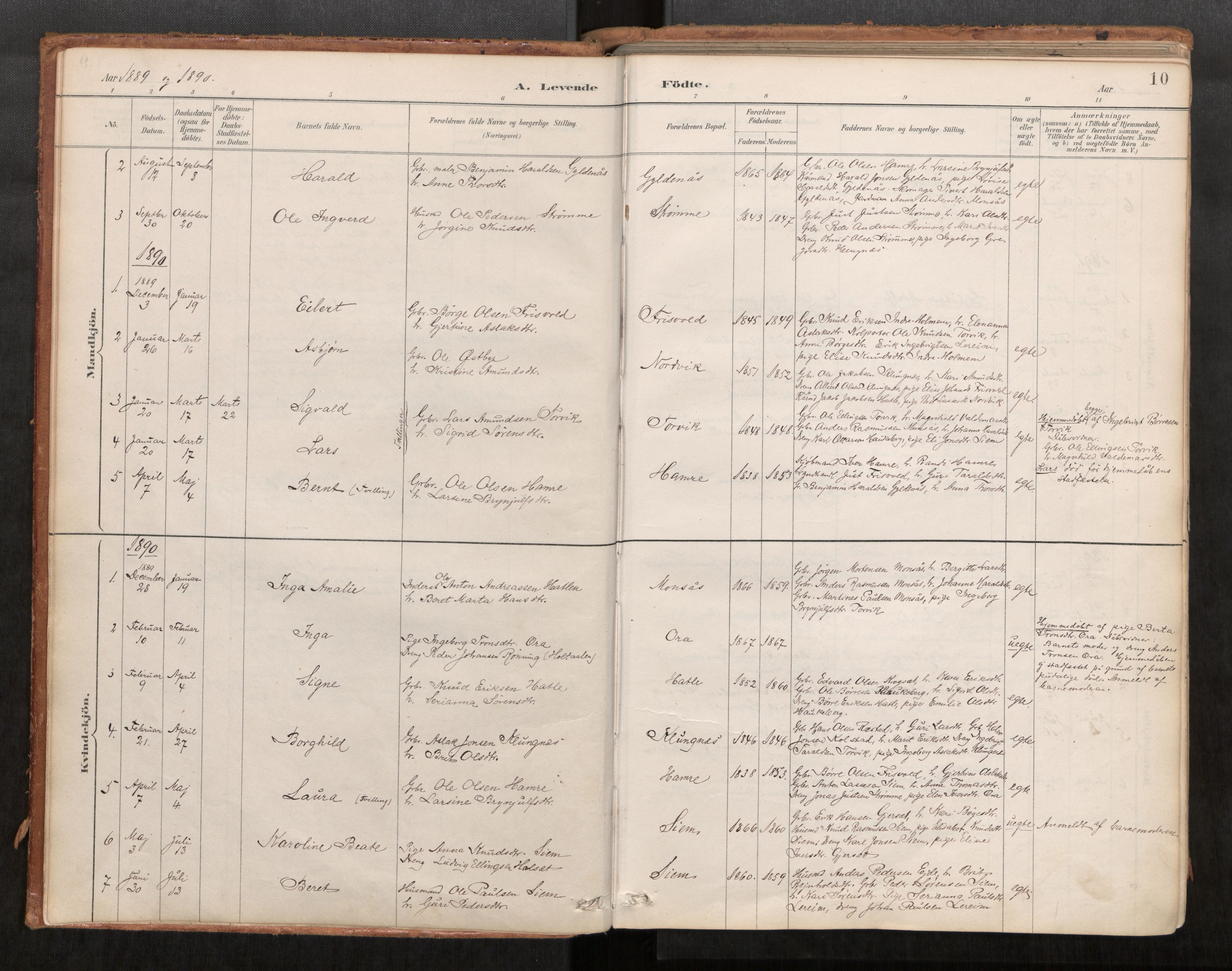 Ministerialprotokoller, klokkerbøker og fødselsregistre - Møre og Romsdal, AV/SAT-A-1454/542/L0553: Parish register (official) no. 542A03, 1885-1925, p. 10