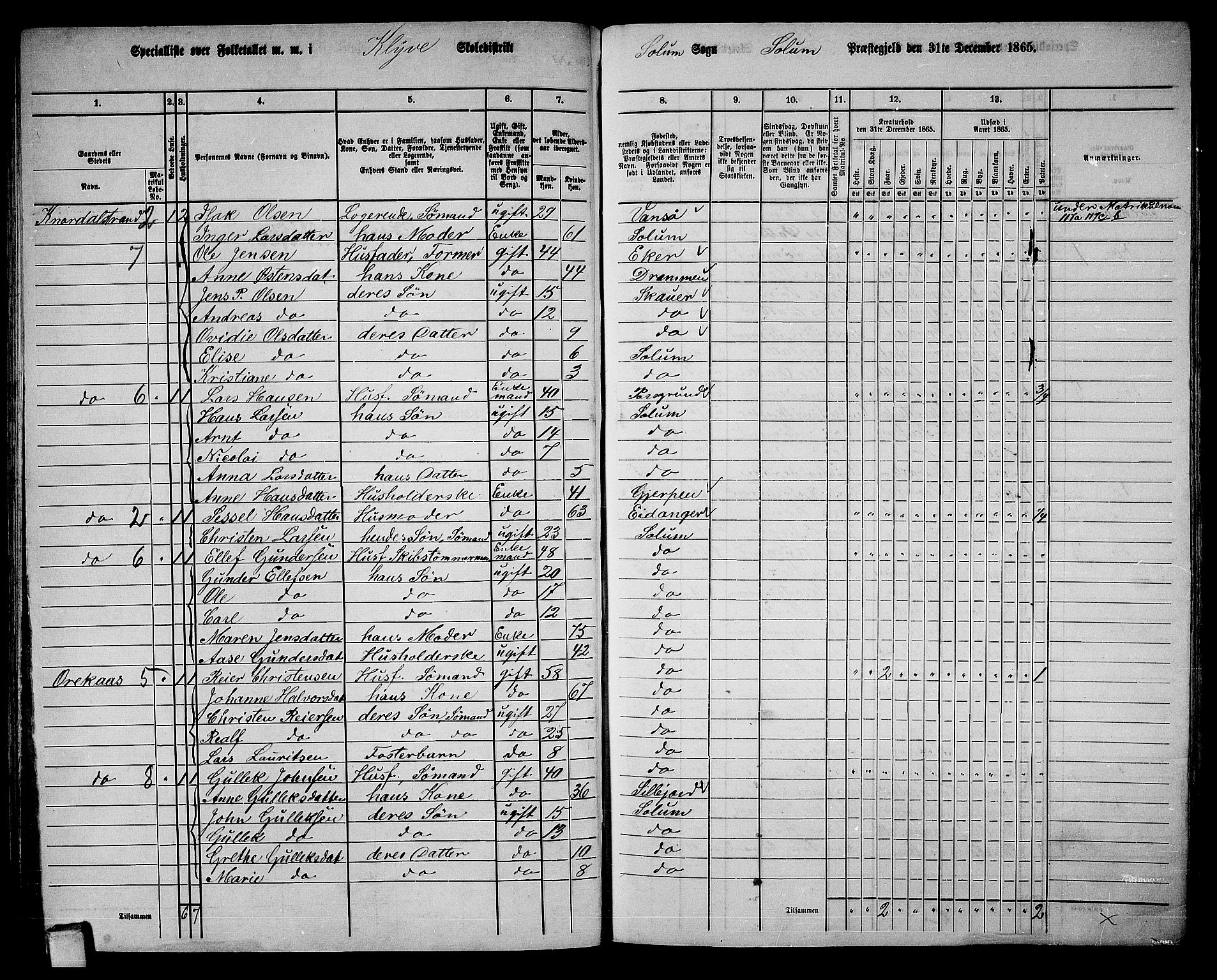 RA, 1865 census for Solum, 1865, p. 110